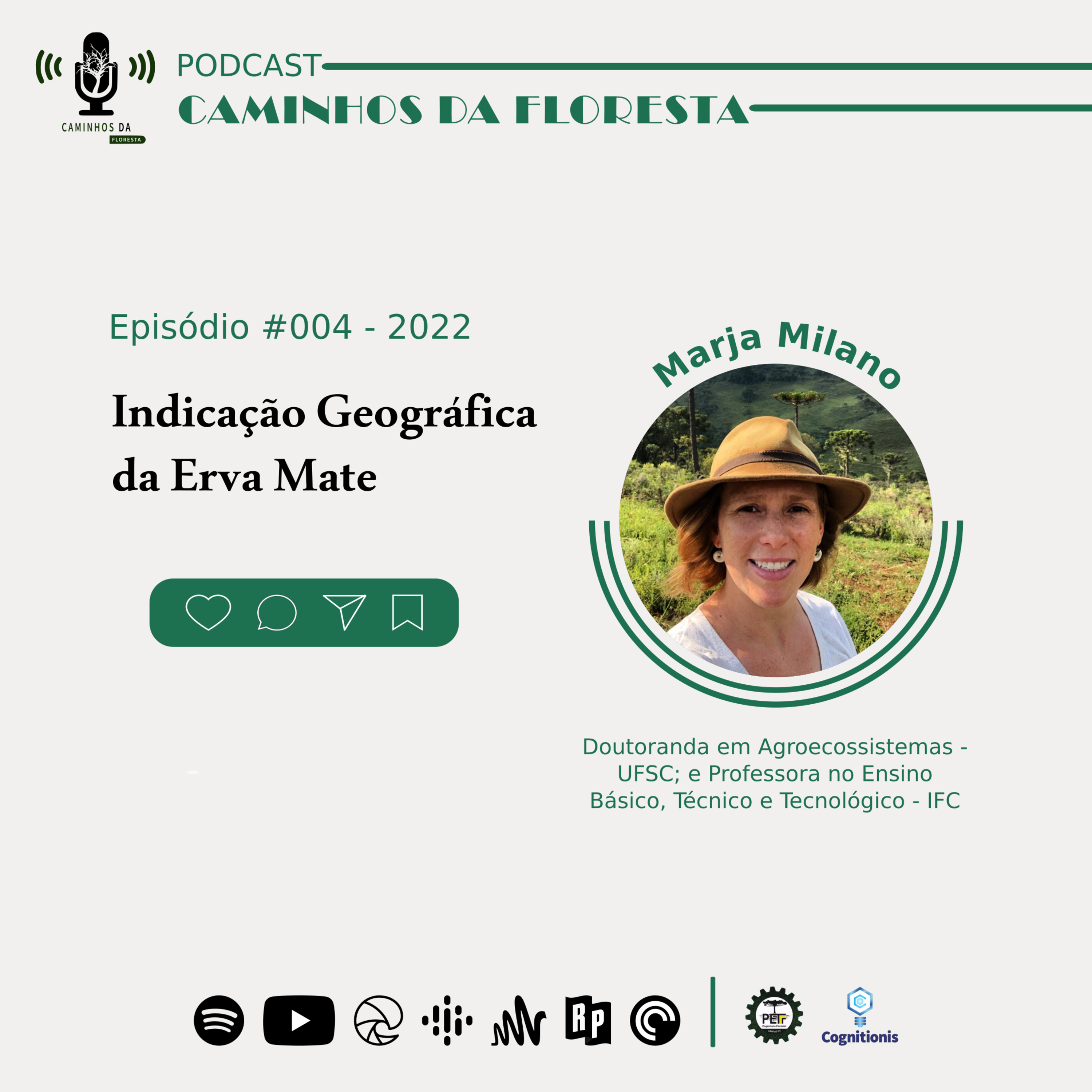 Caminhos da Floresta