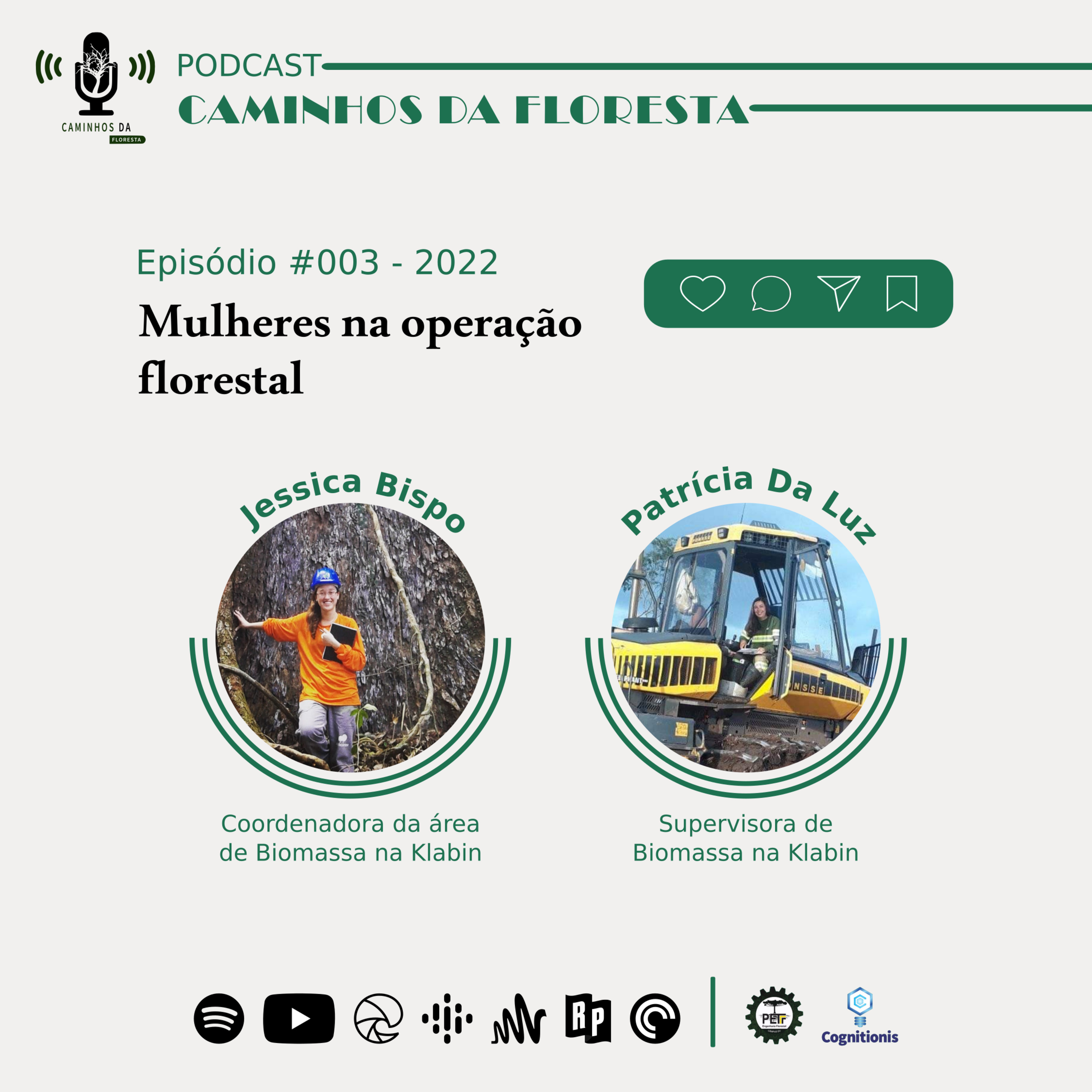 Caminhos da Floresta