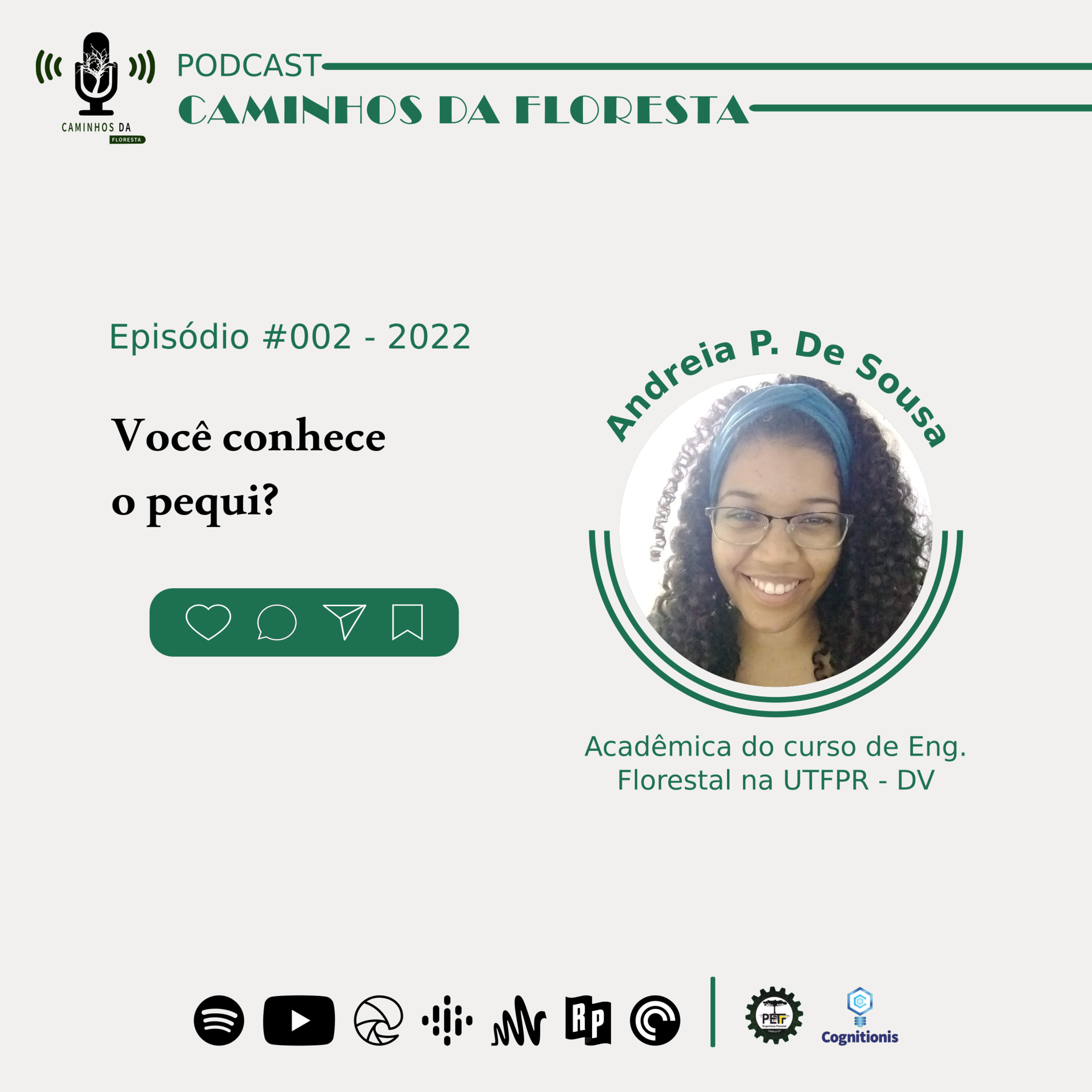 Caminhos da Floresta
