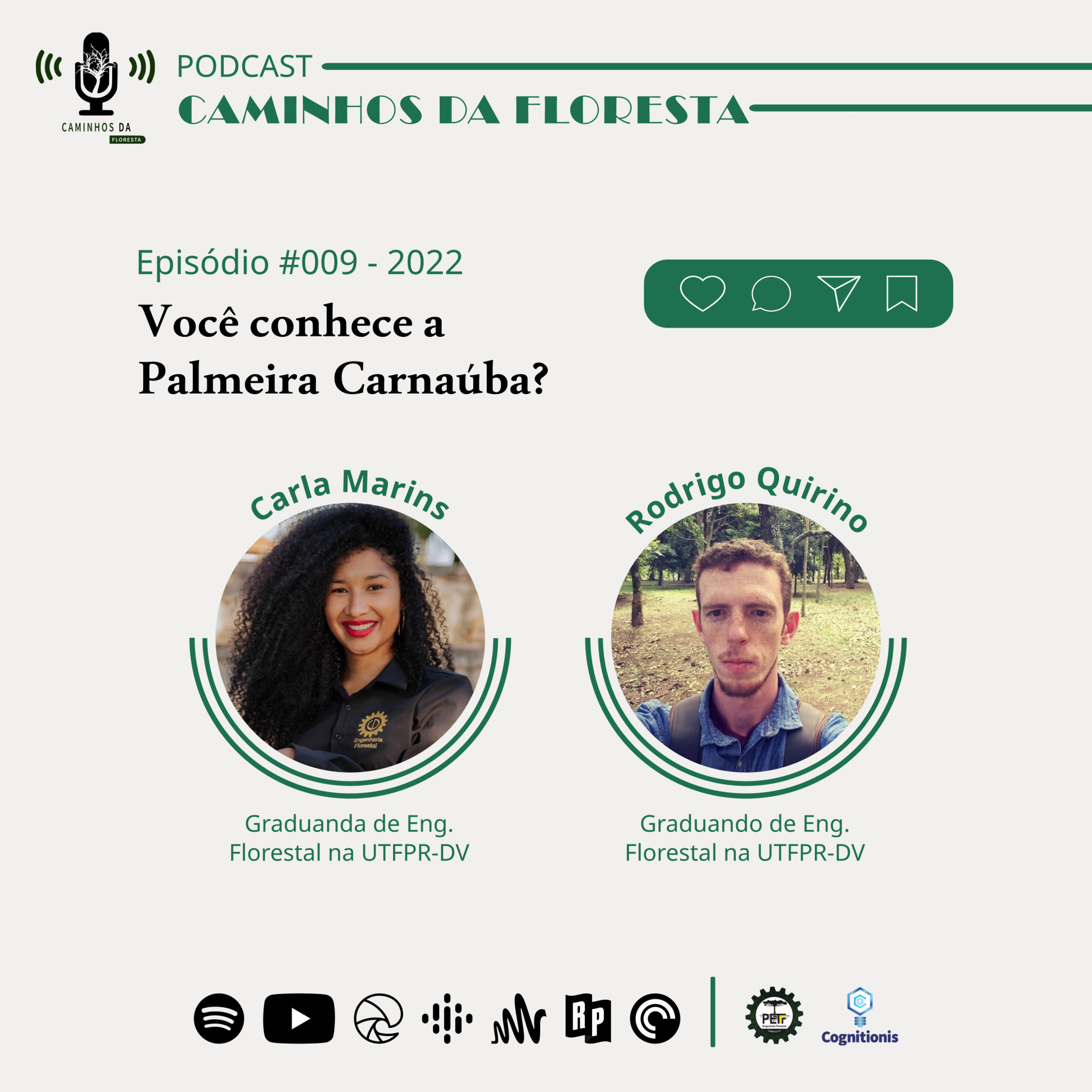 Caminhos da Floresta