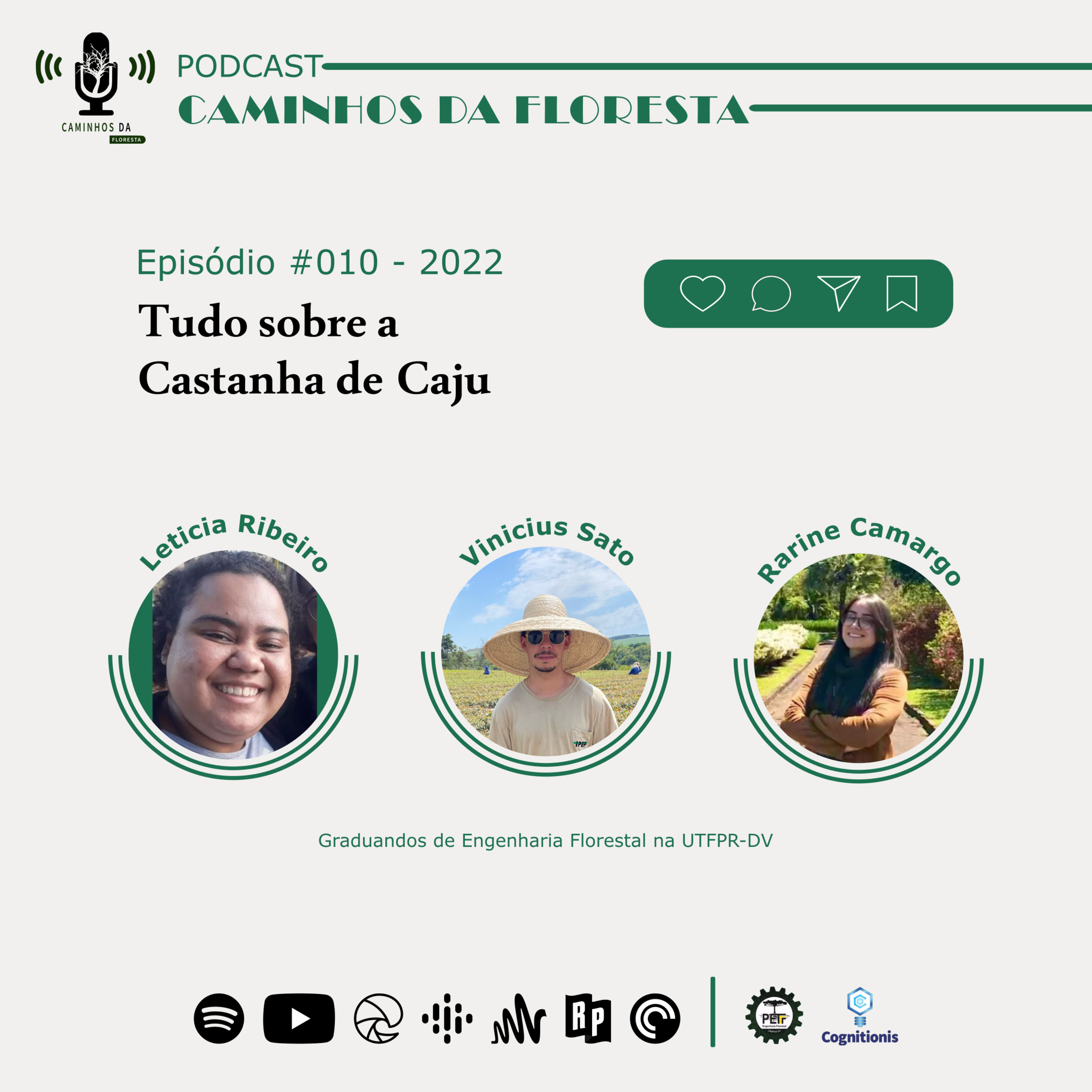 Caminhos da Floresta