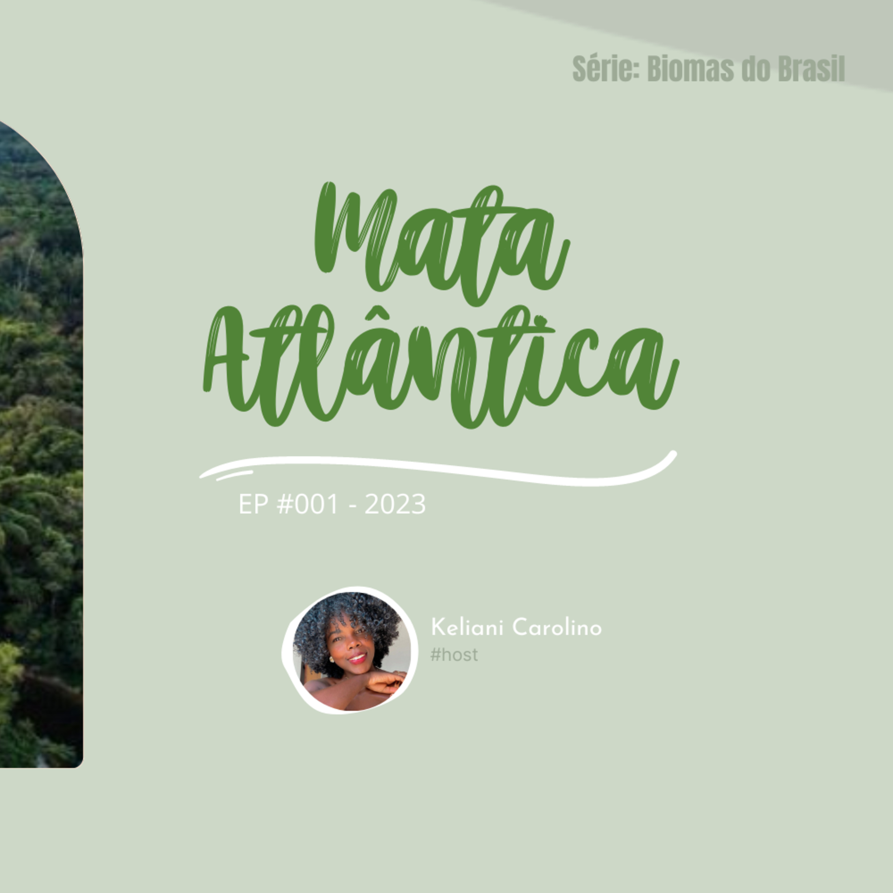 Caminhos da Floresta