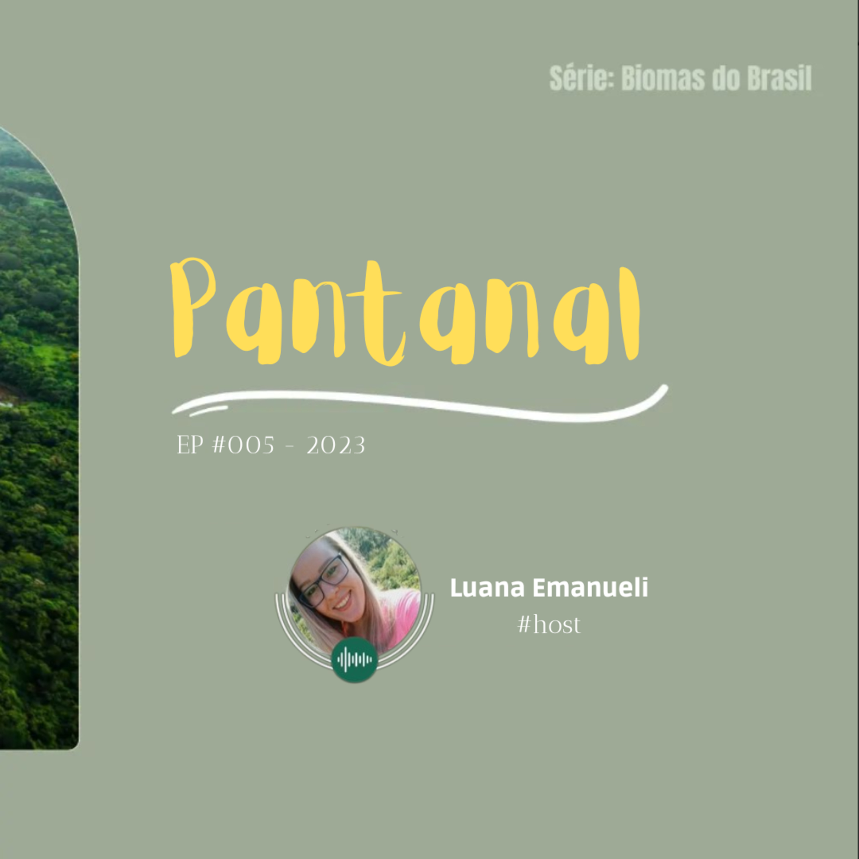 Caminhos da Floresta