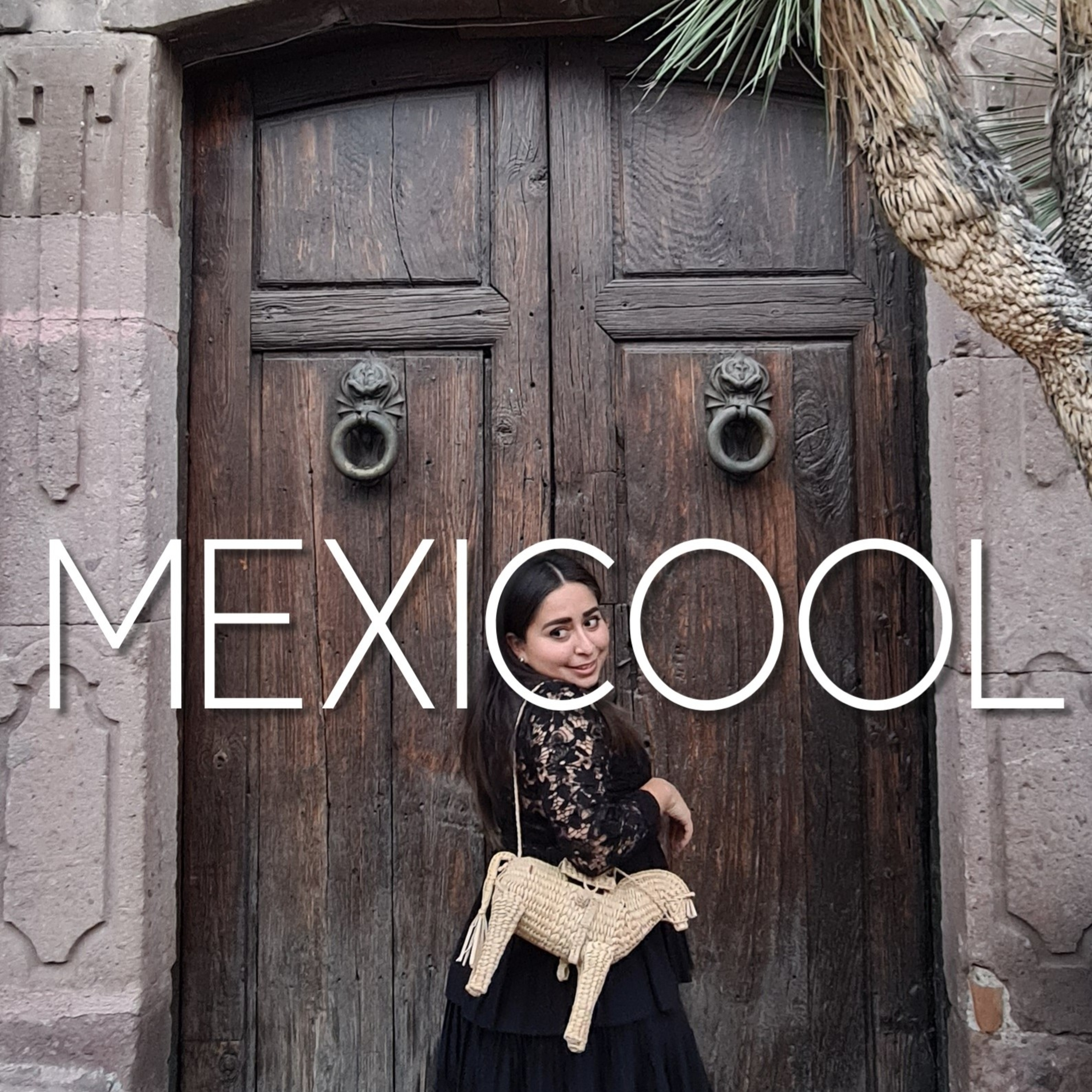 MEXICOOL