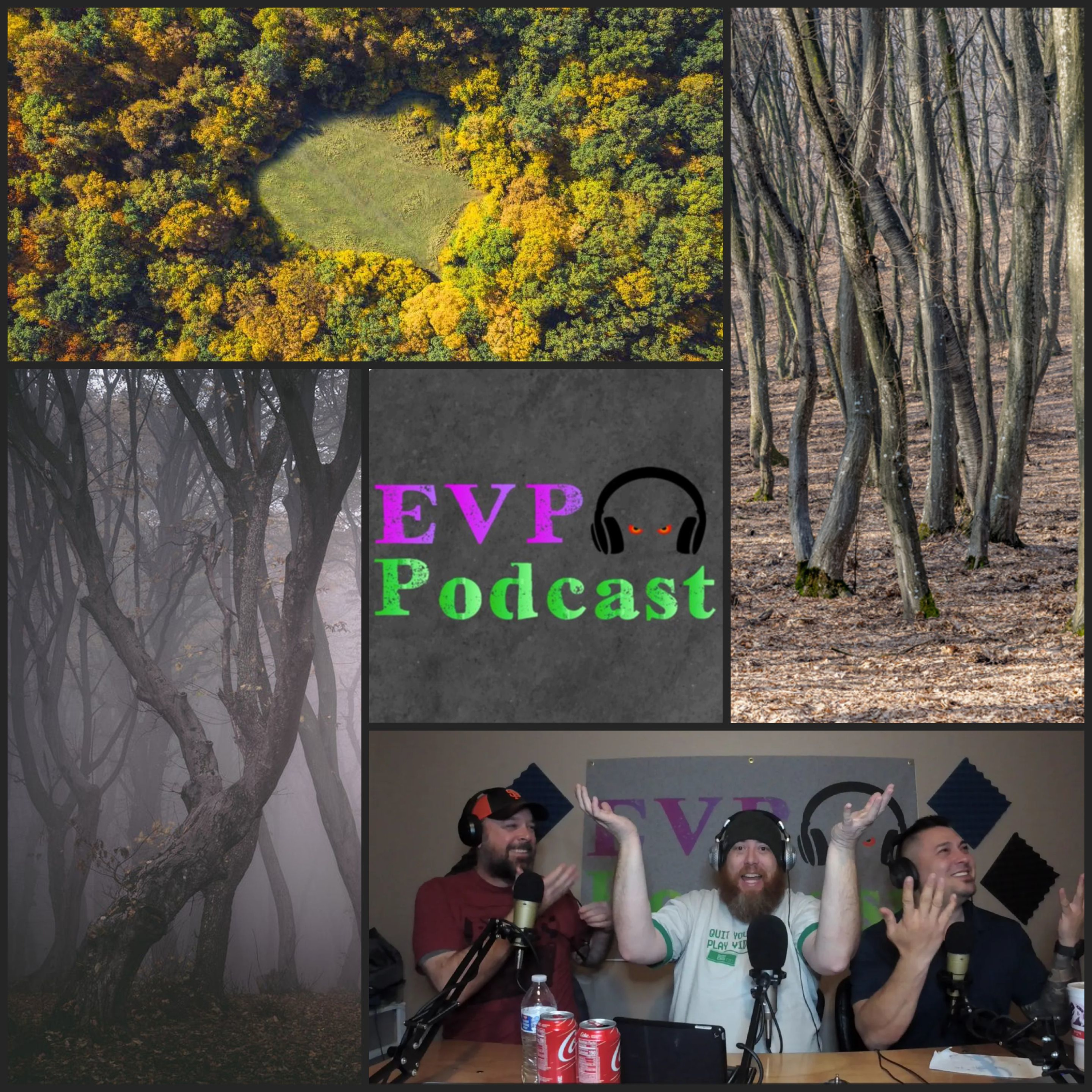 98 - Hoia Baciu Forest, with Dave episode artwork