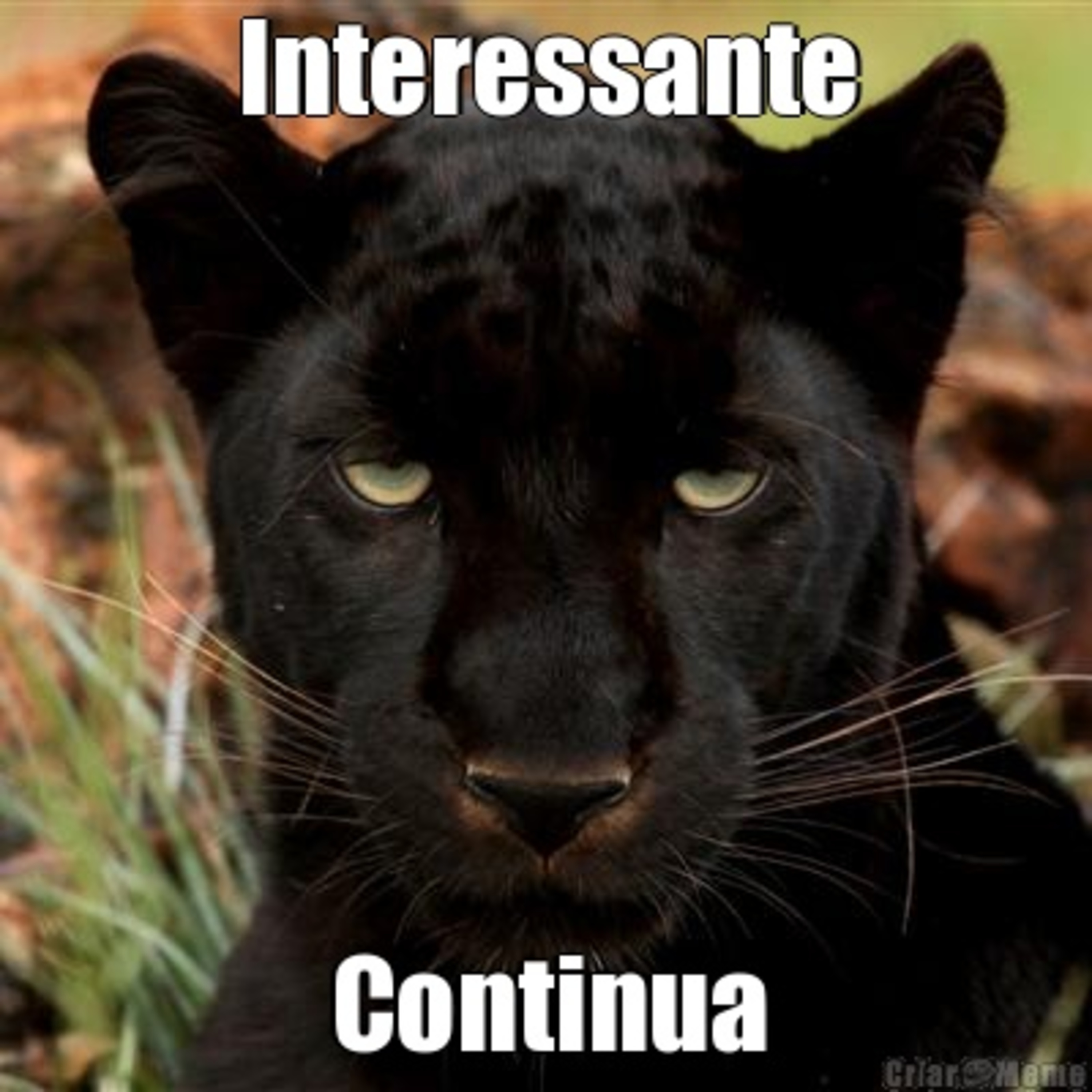 Mágica para Todos