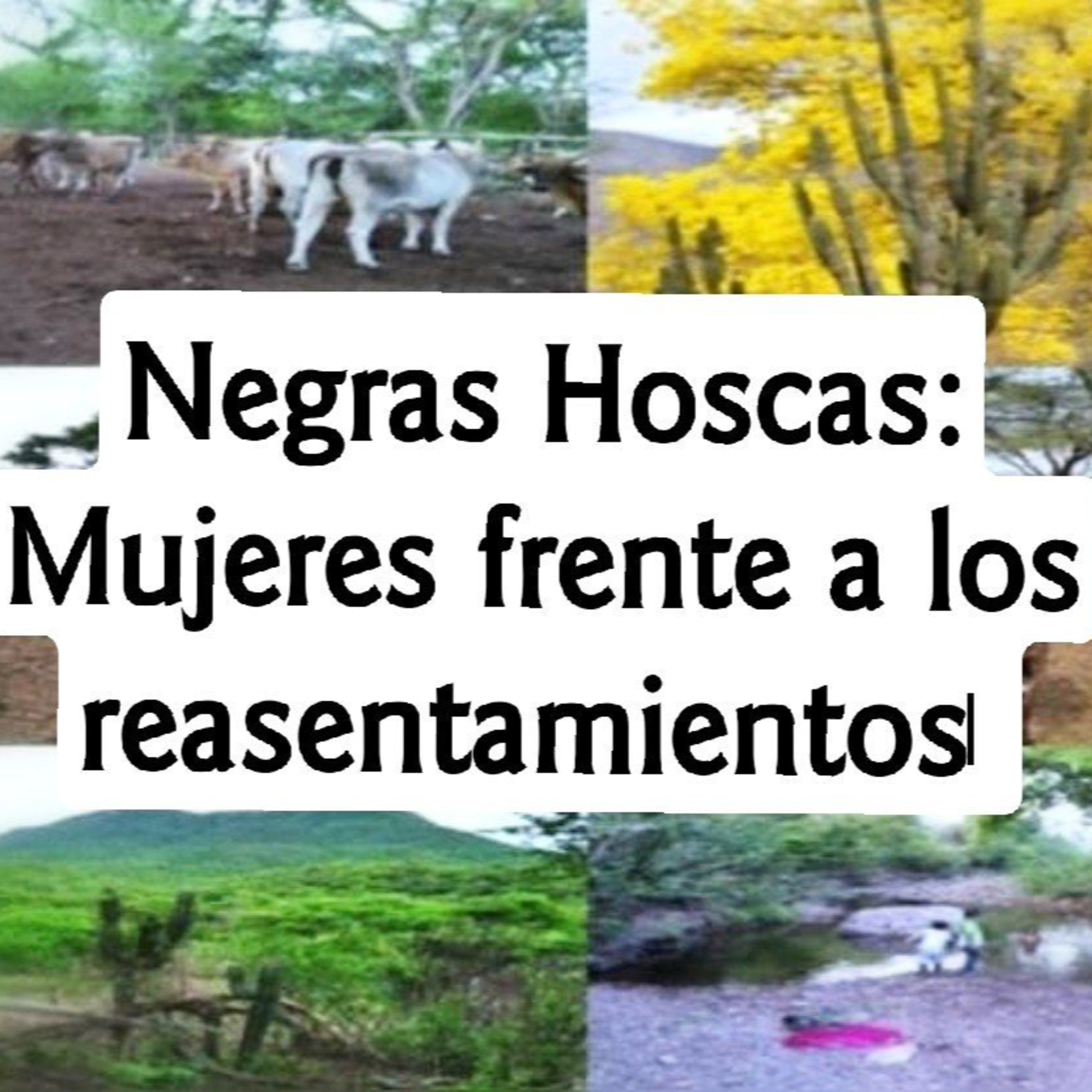 Podcast del área de Ambiente y Sustentabilidad de la UASB