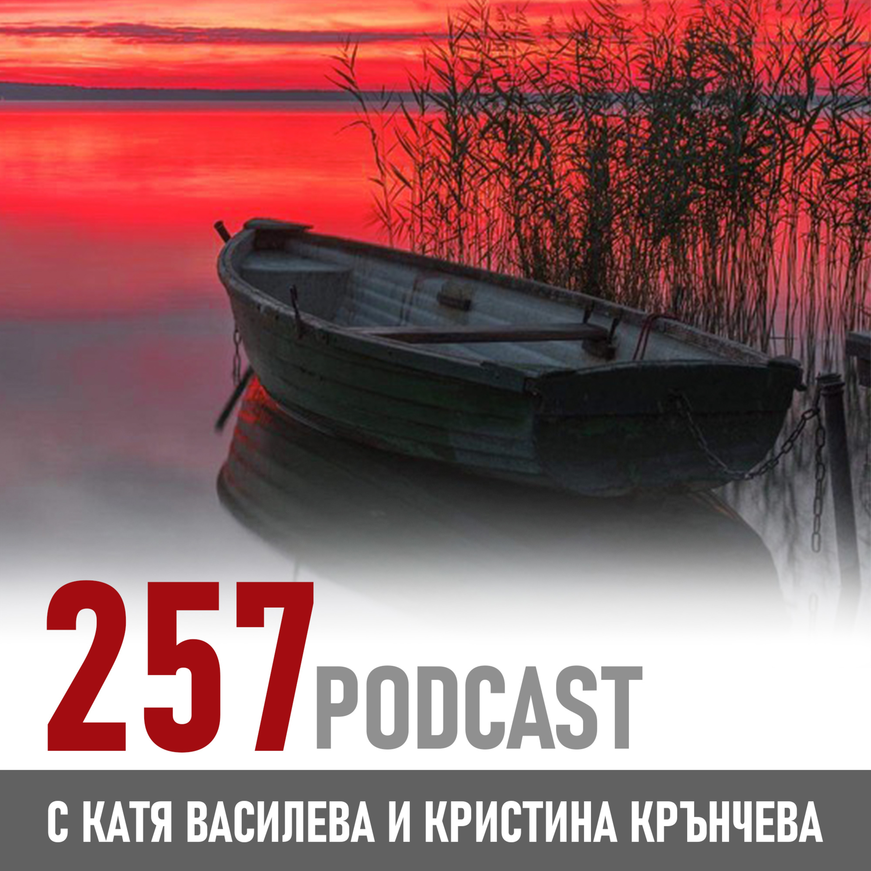 257 podcast - Какво общо има гневът с празната лодка episode artwork