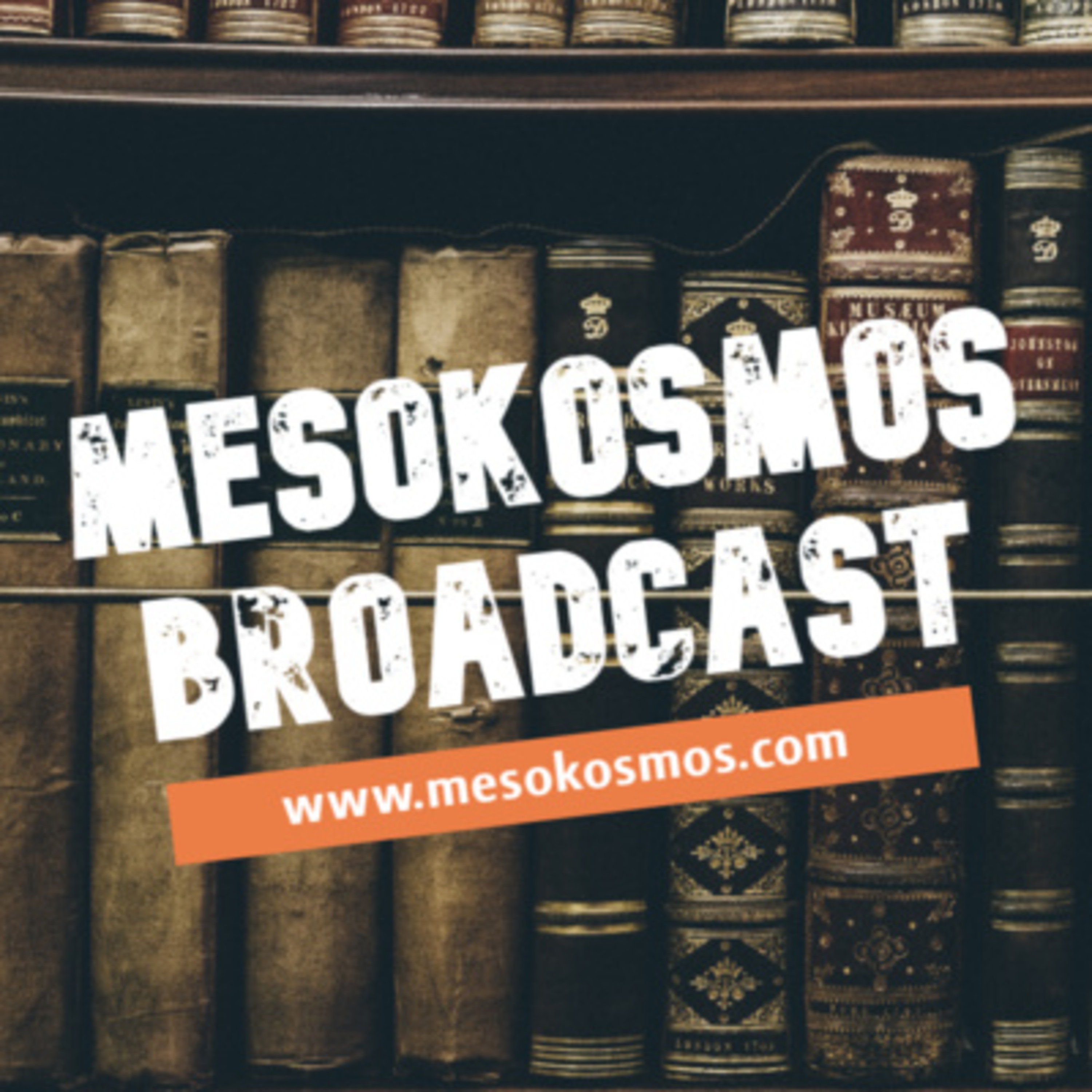Näkökulmia Mesokosmoksesta