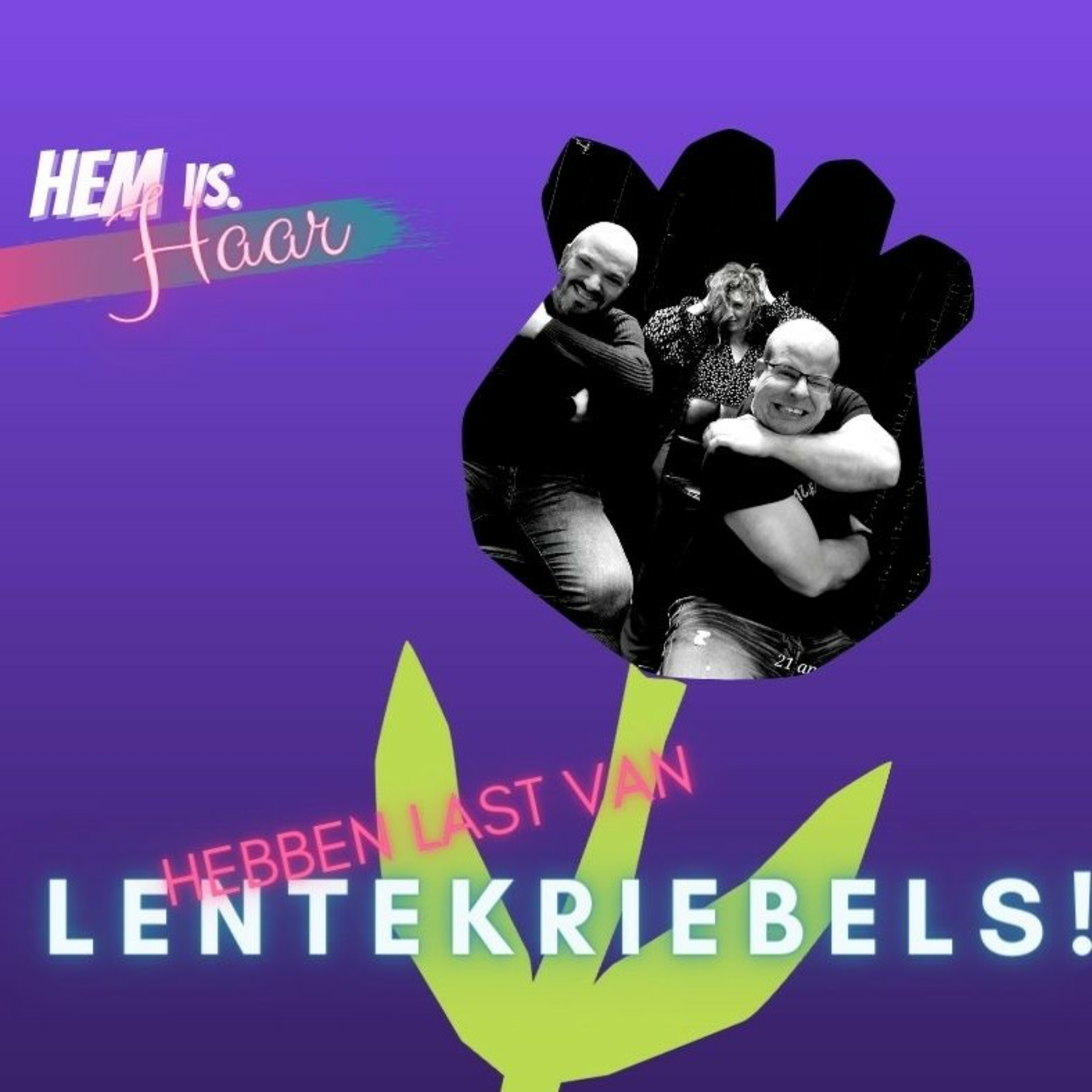 Hem vs. Haar de podcast!