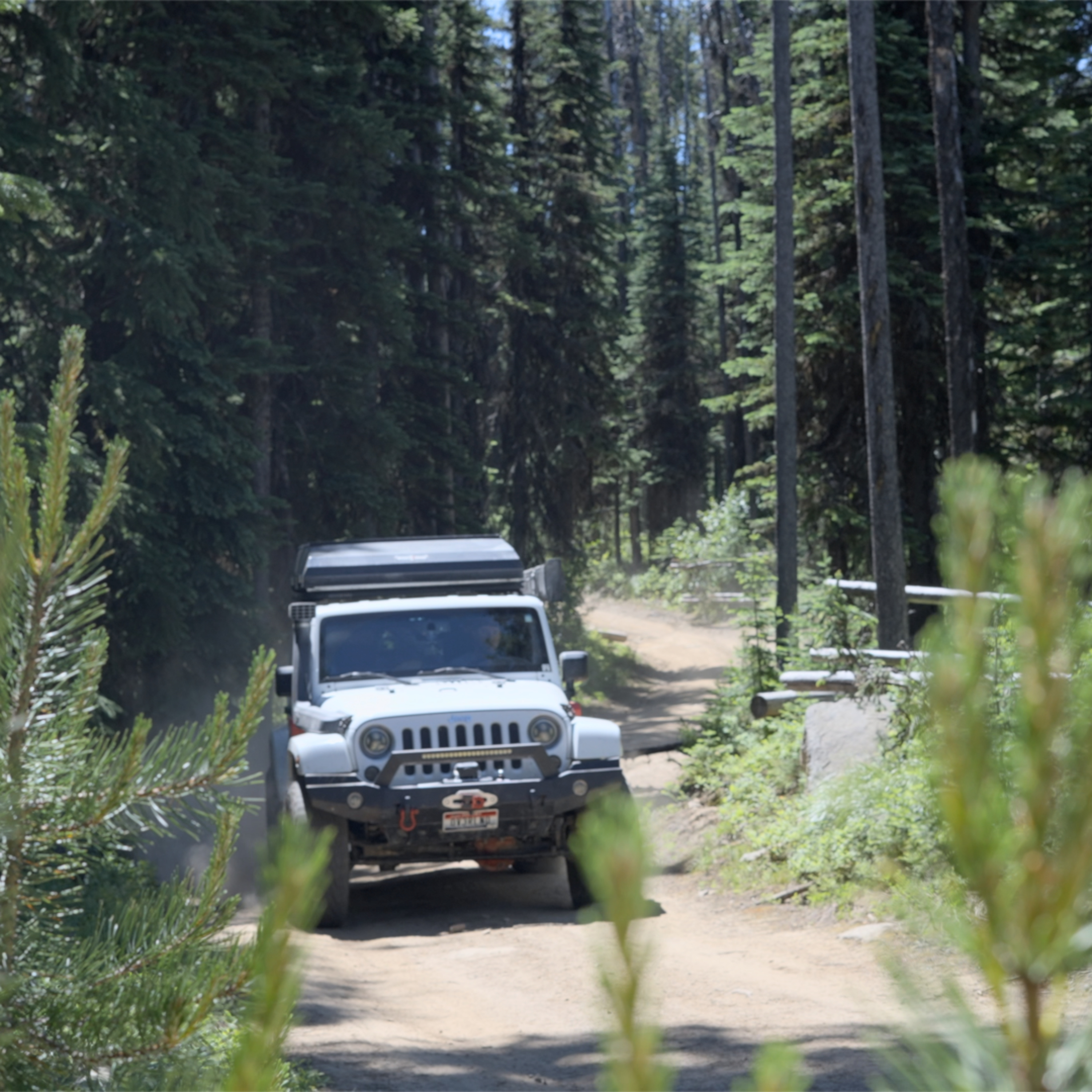 American Overlander - by Venture2Roam