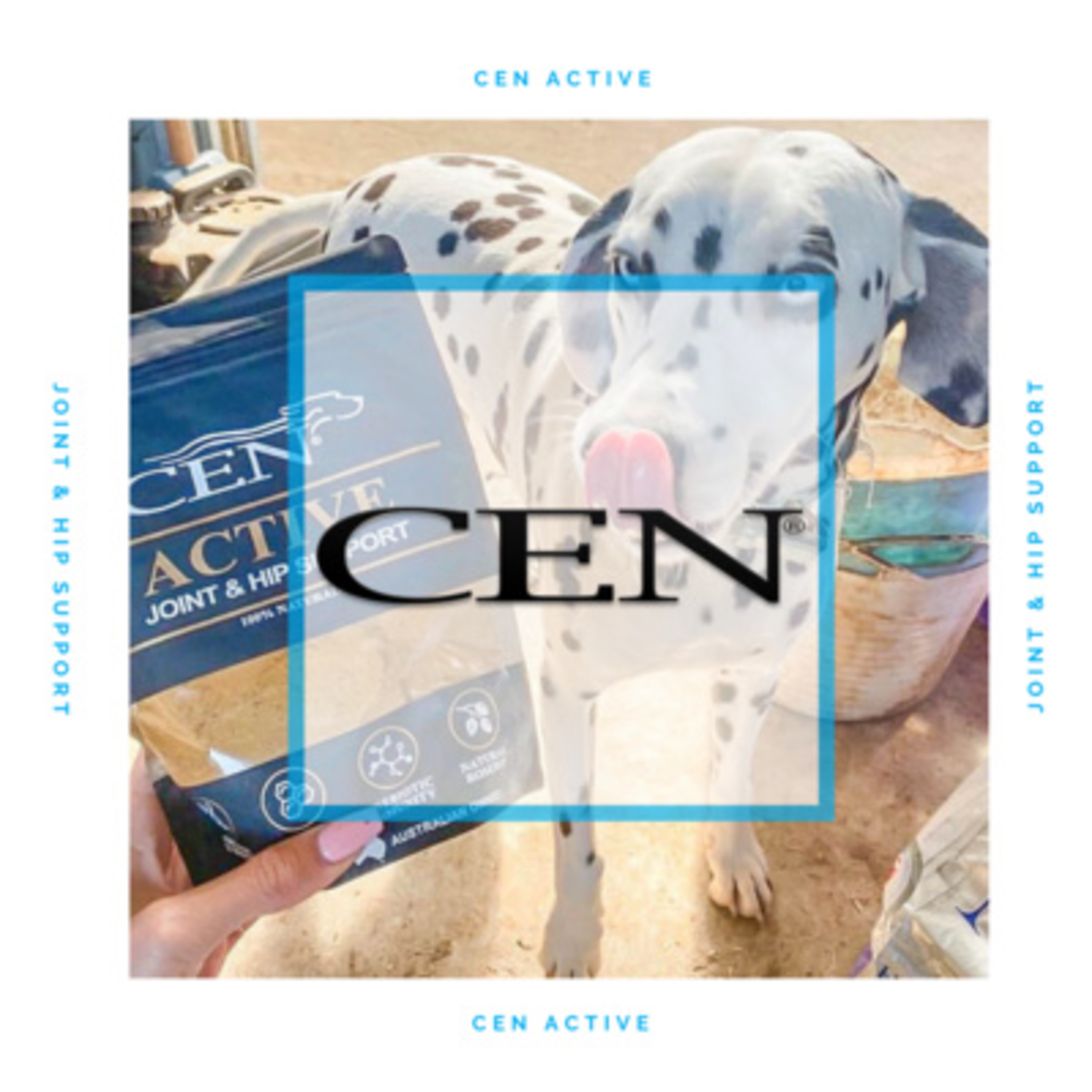 CEN Dog Nutrition