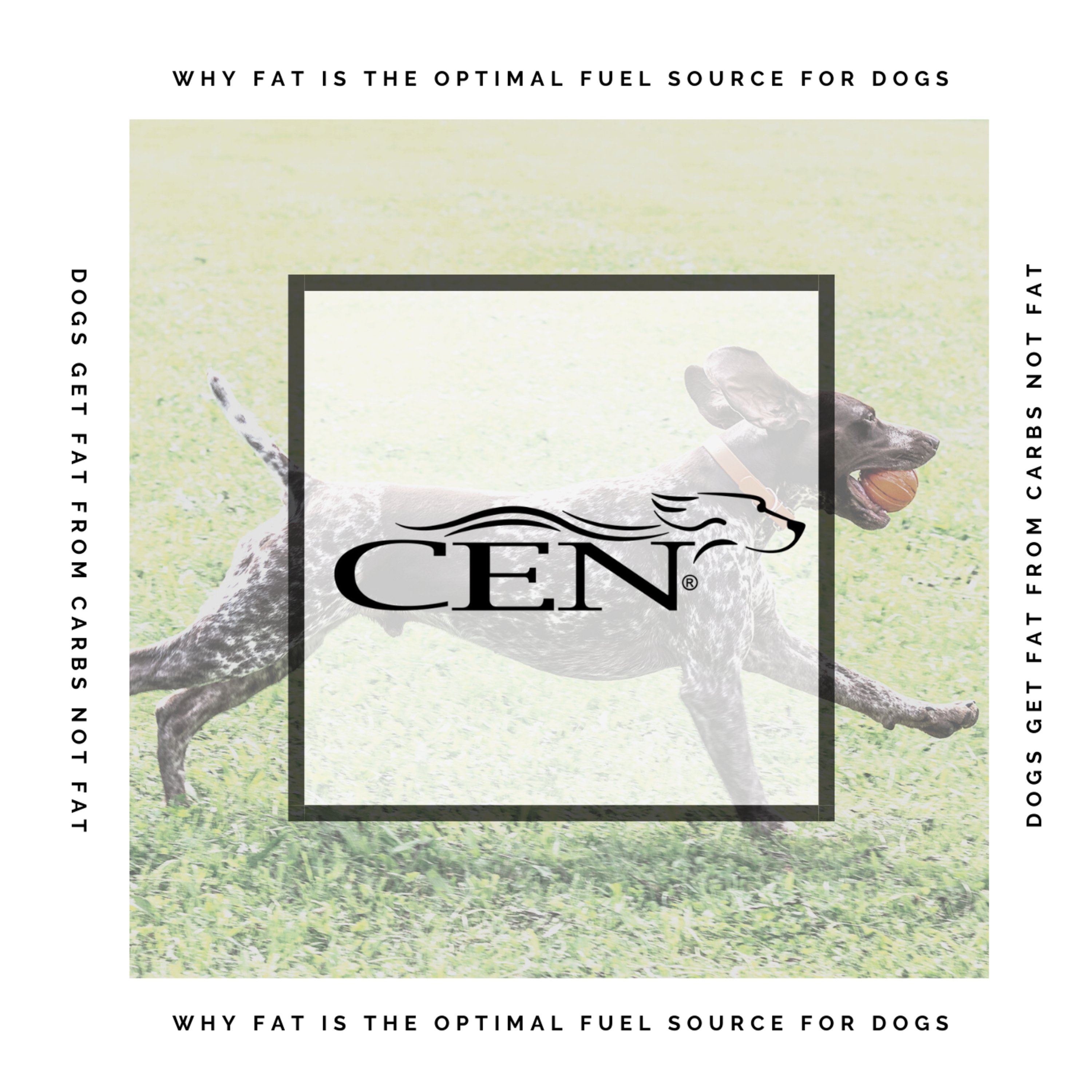 CEN Dog Nutrition