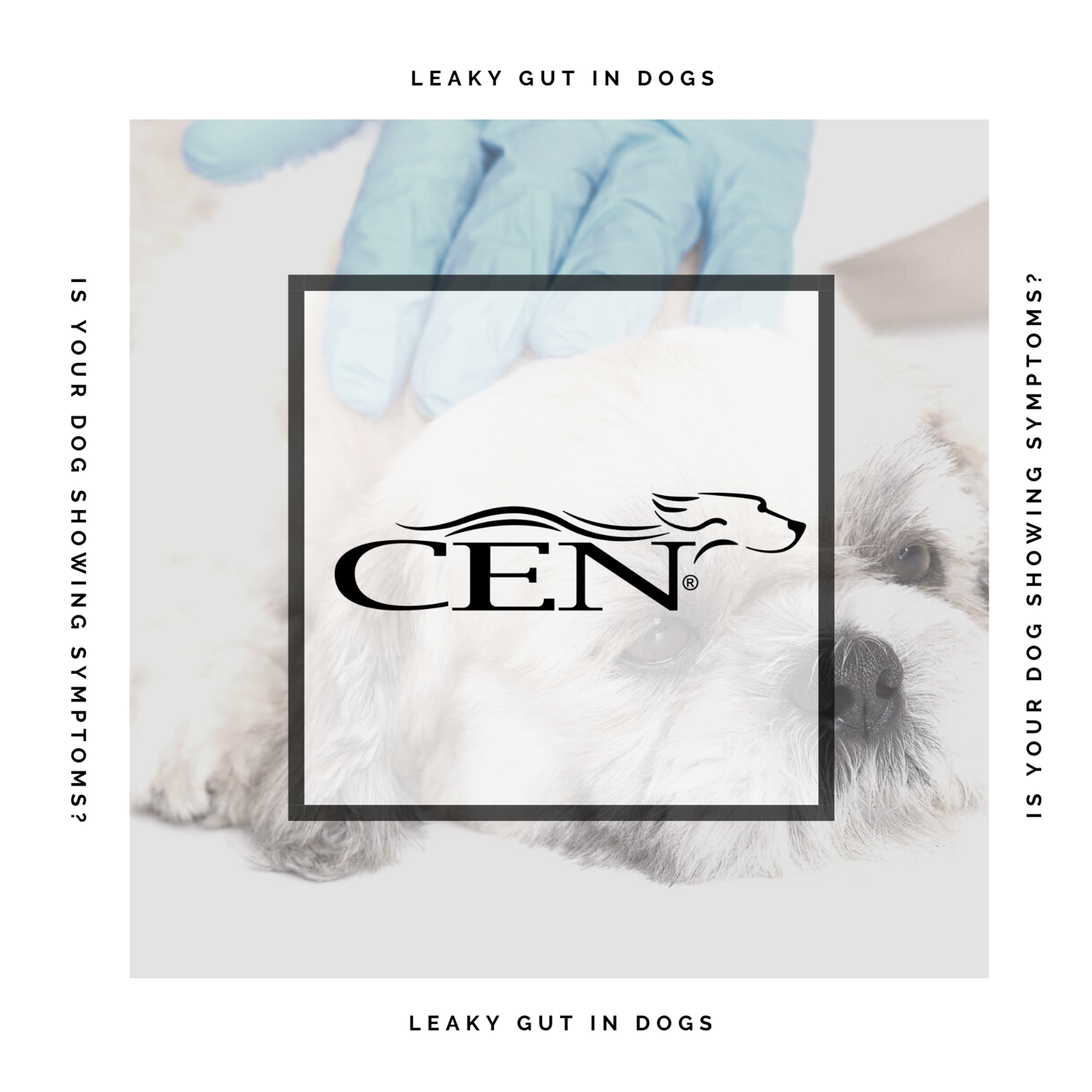 CEN Dog Nutrition