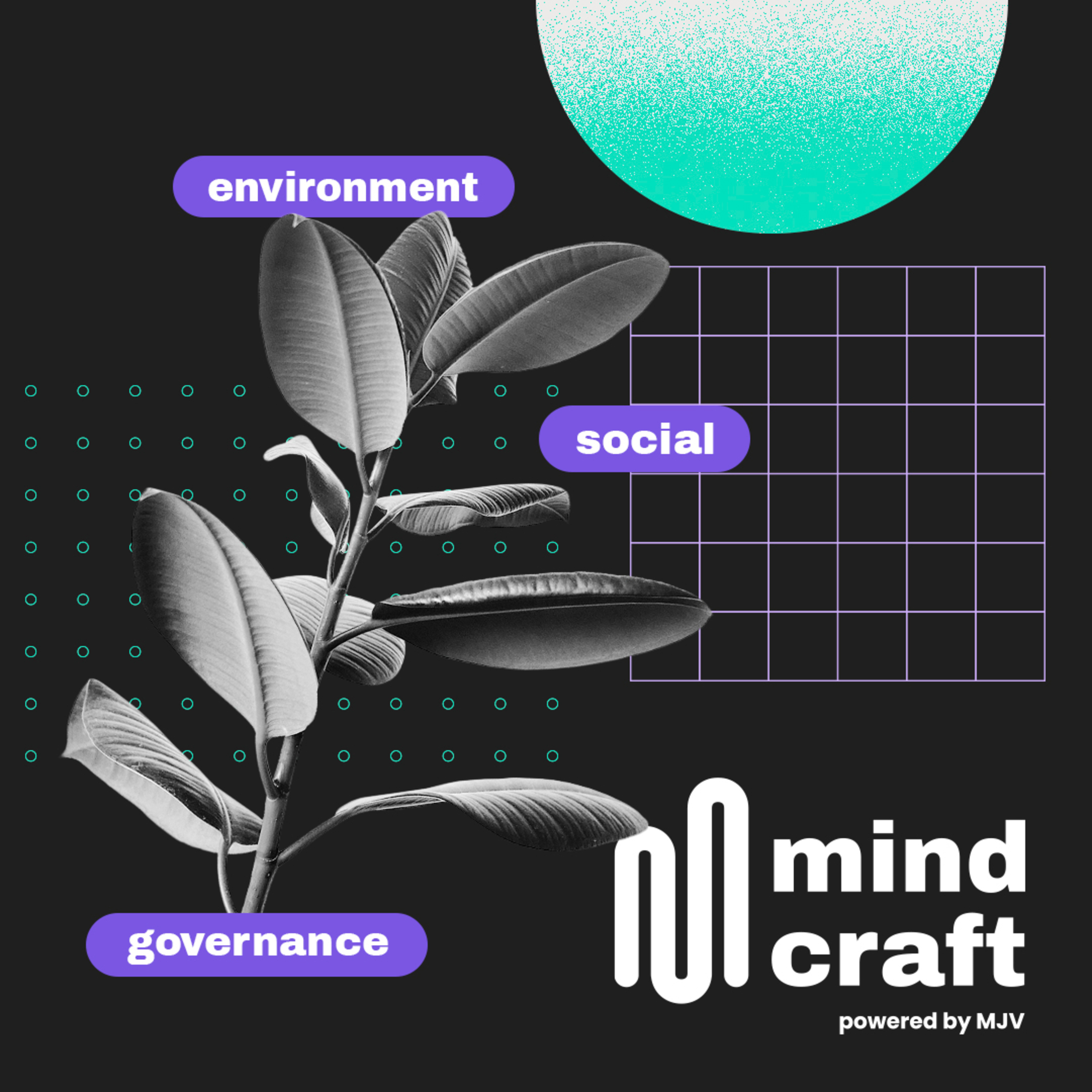 MJV Mindcraft