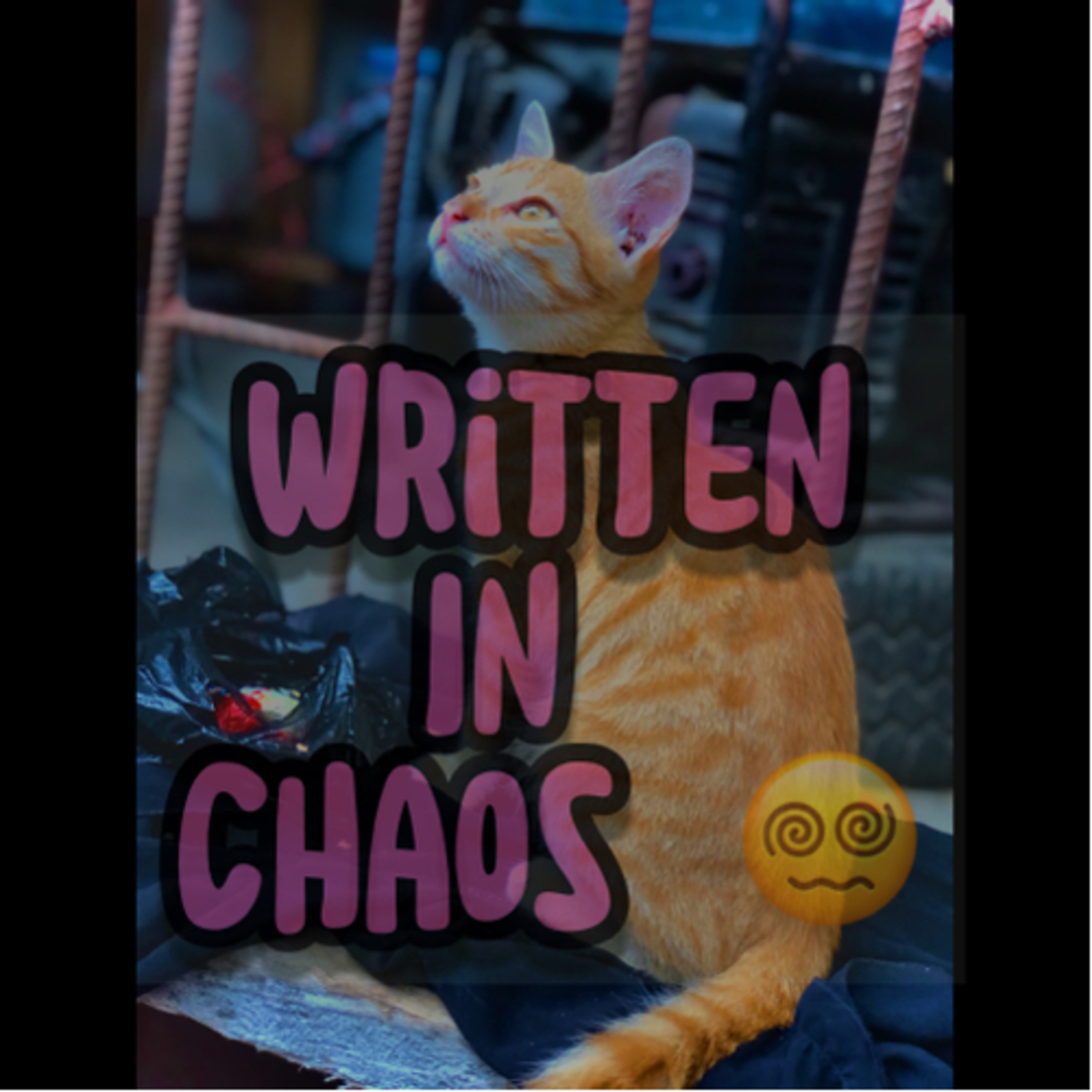 Written in Chaos  episode artwork