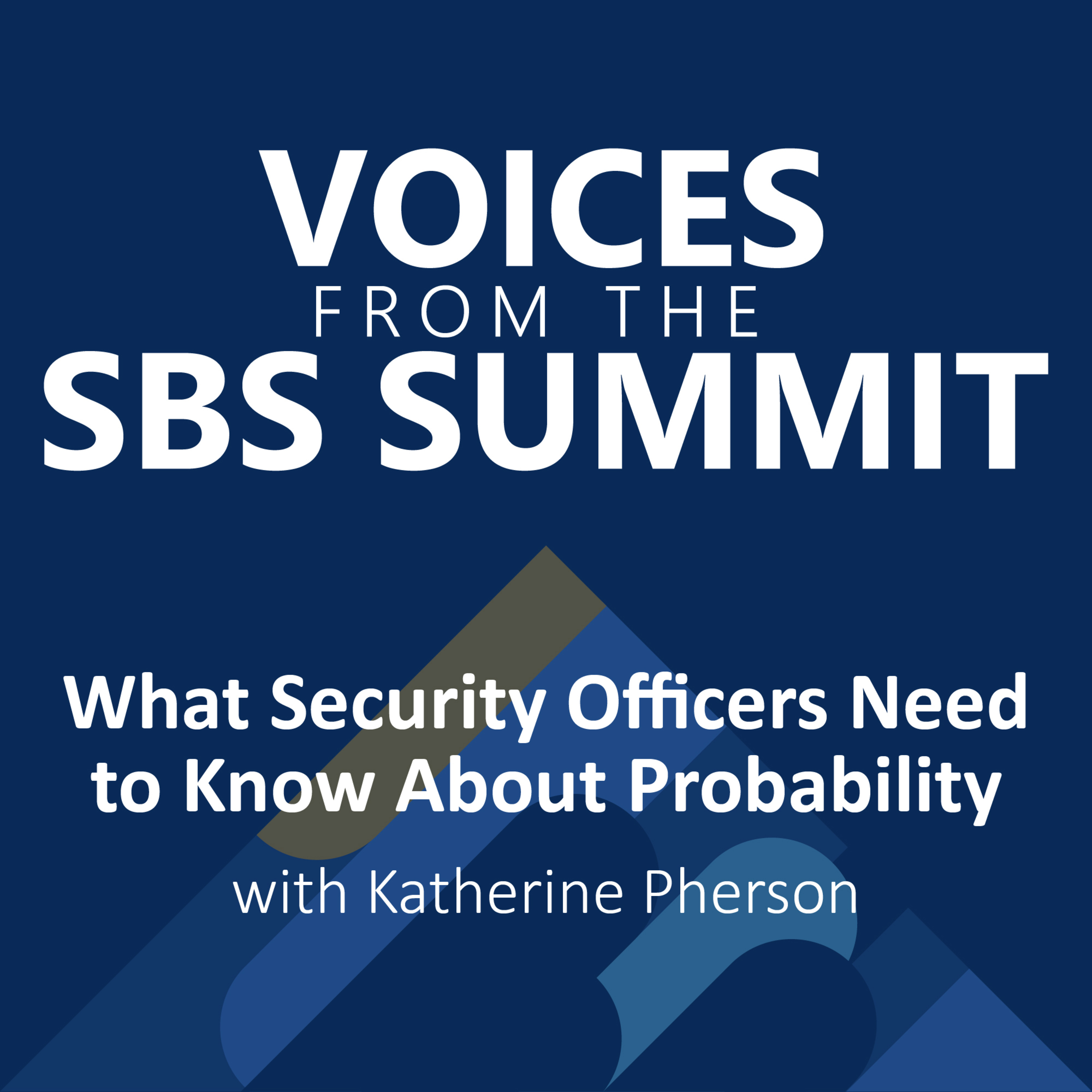 Voices from the SBS Summit