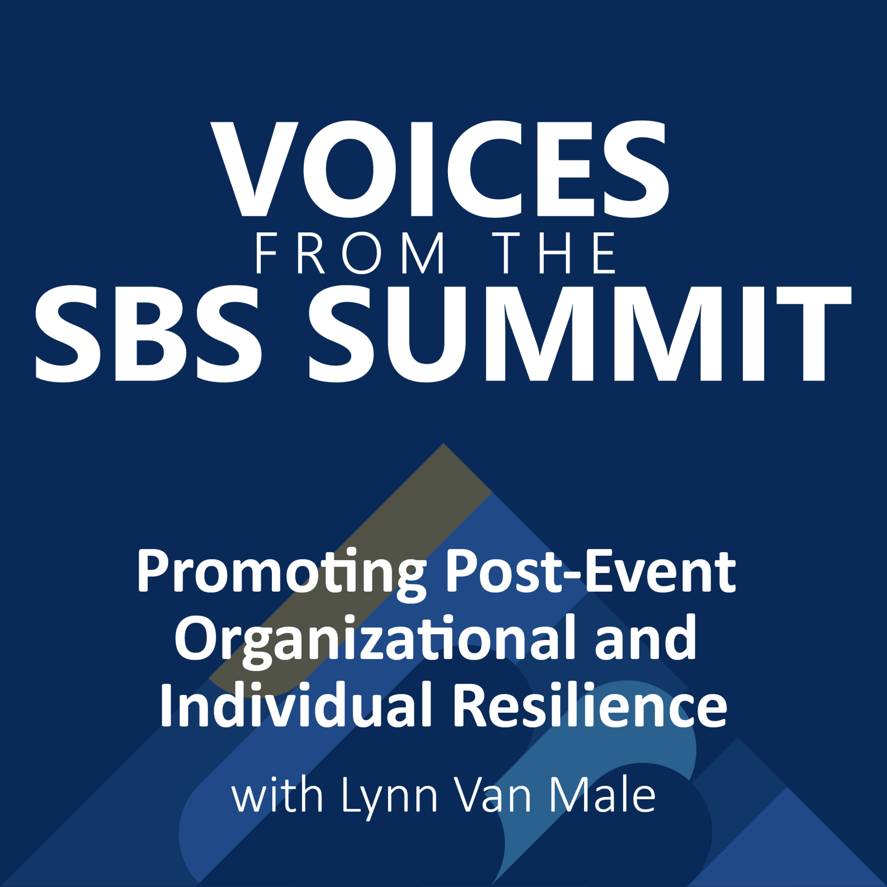 Voices from the SBS Summit