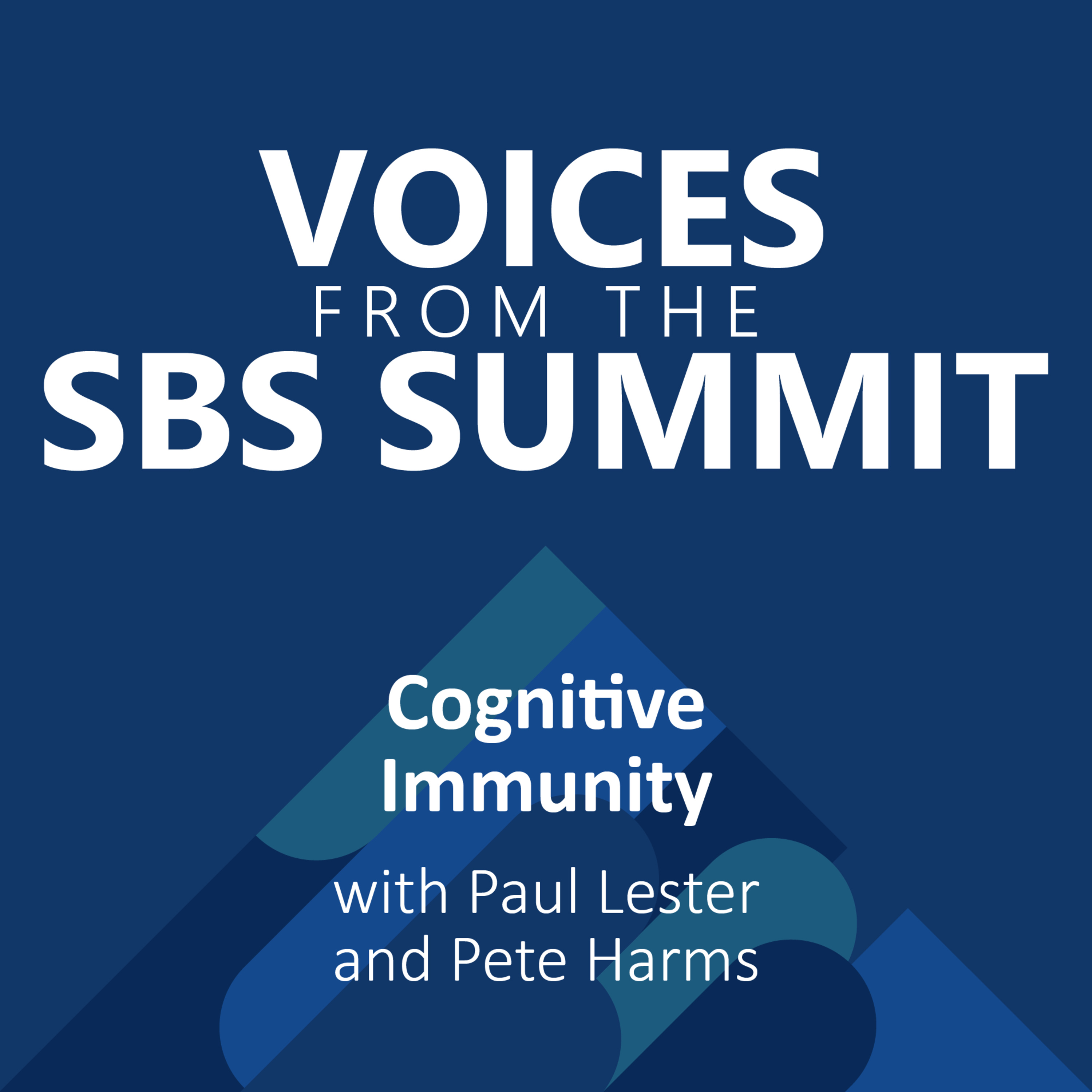 Voices from the SBS Summit