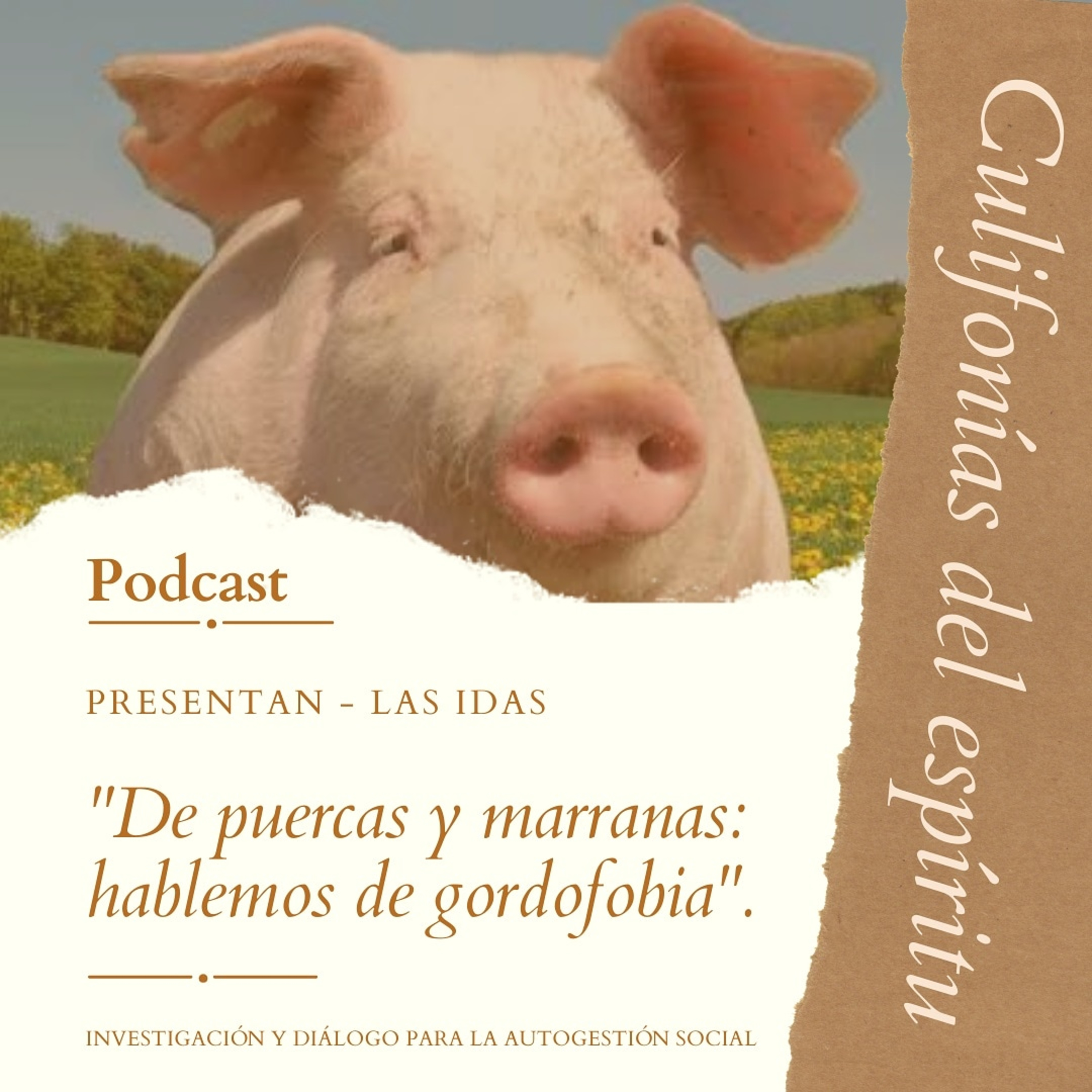 De puerkas y marranas: Hablemos de gordofobia. episode artwork