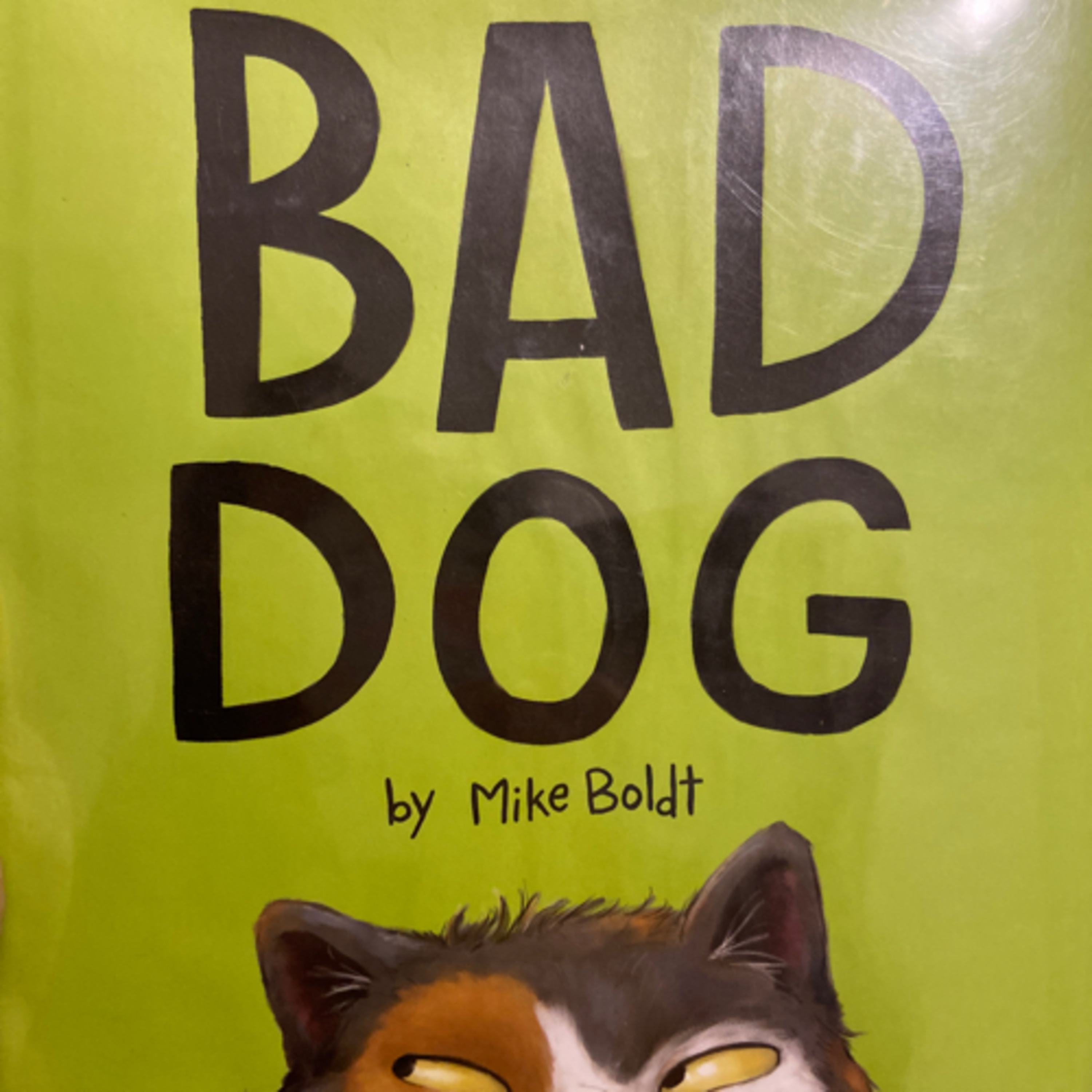Bad Dog