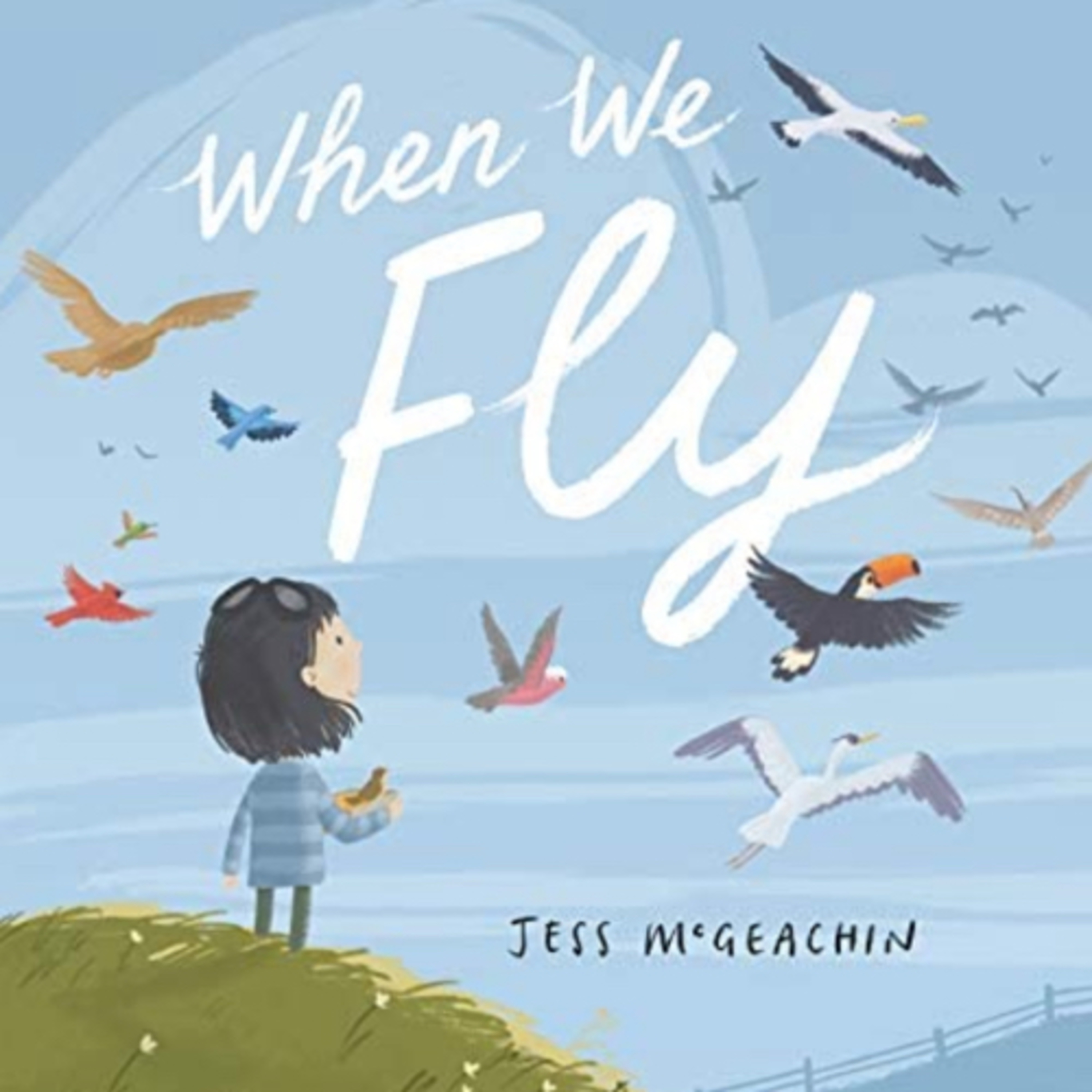 When We Fly