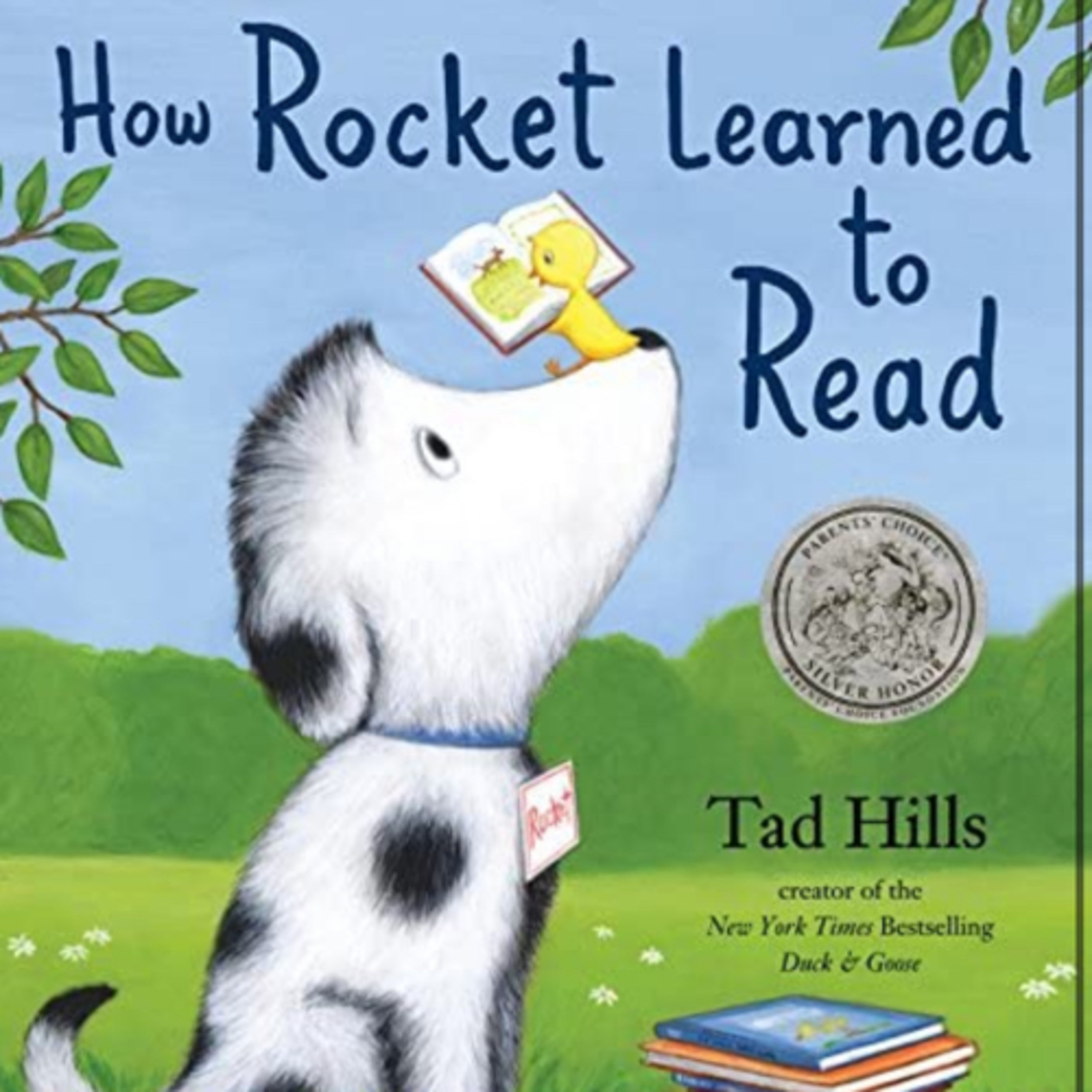 How Rocket Learned to Read