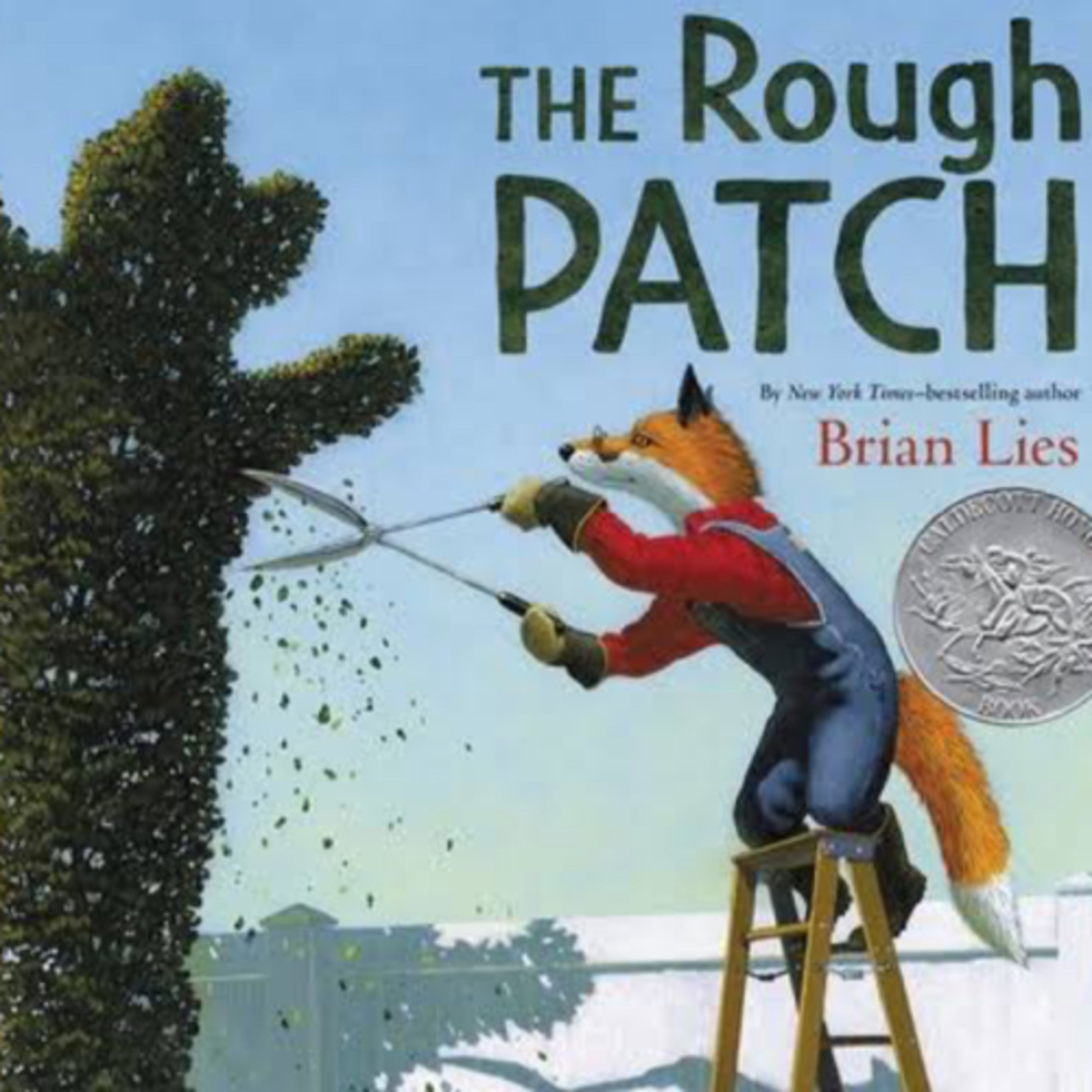 The Rough Patch