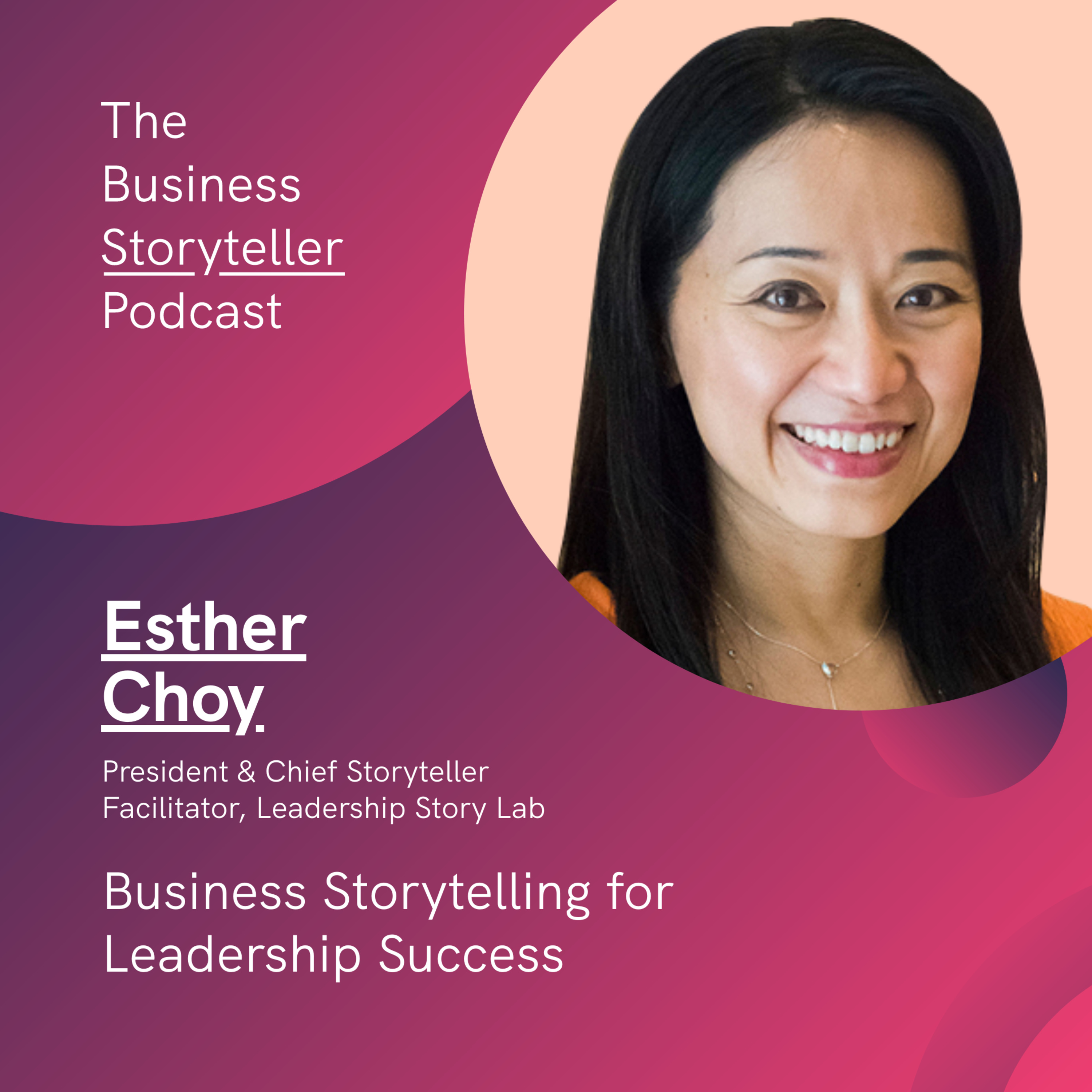 The Business Storyteller Podcast