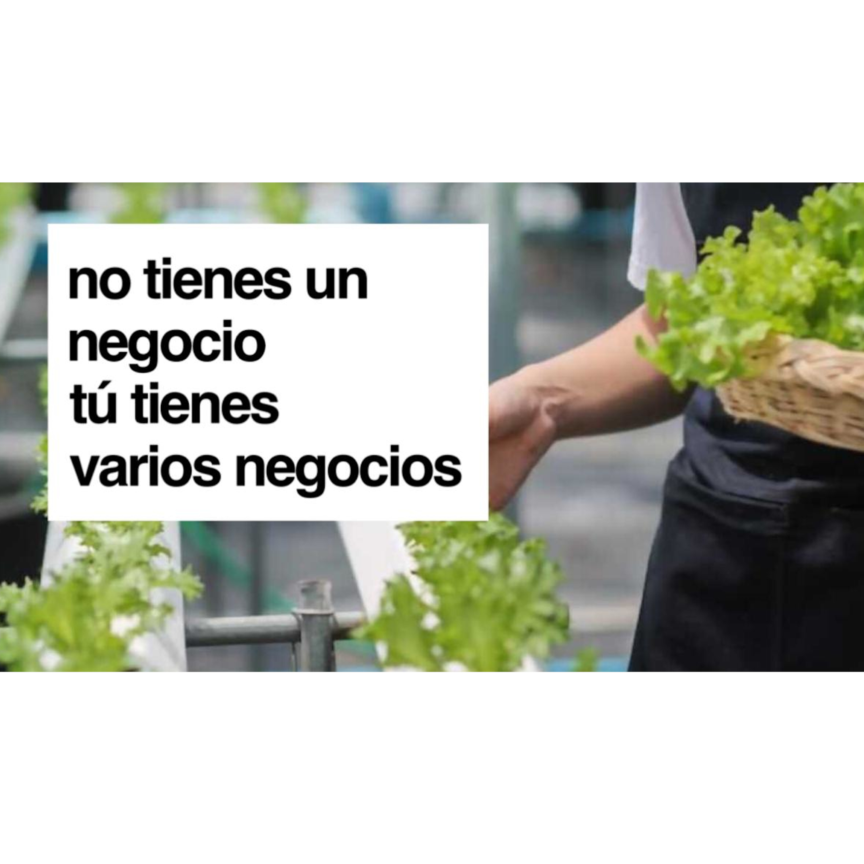 Tecnología para PYMES