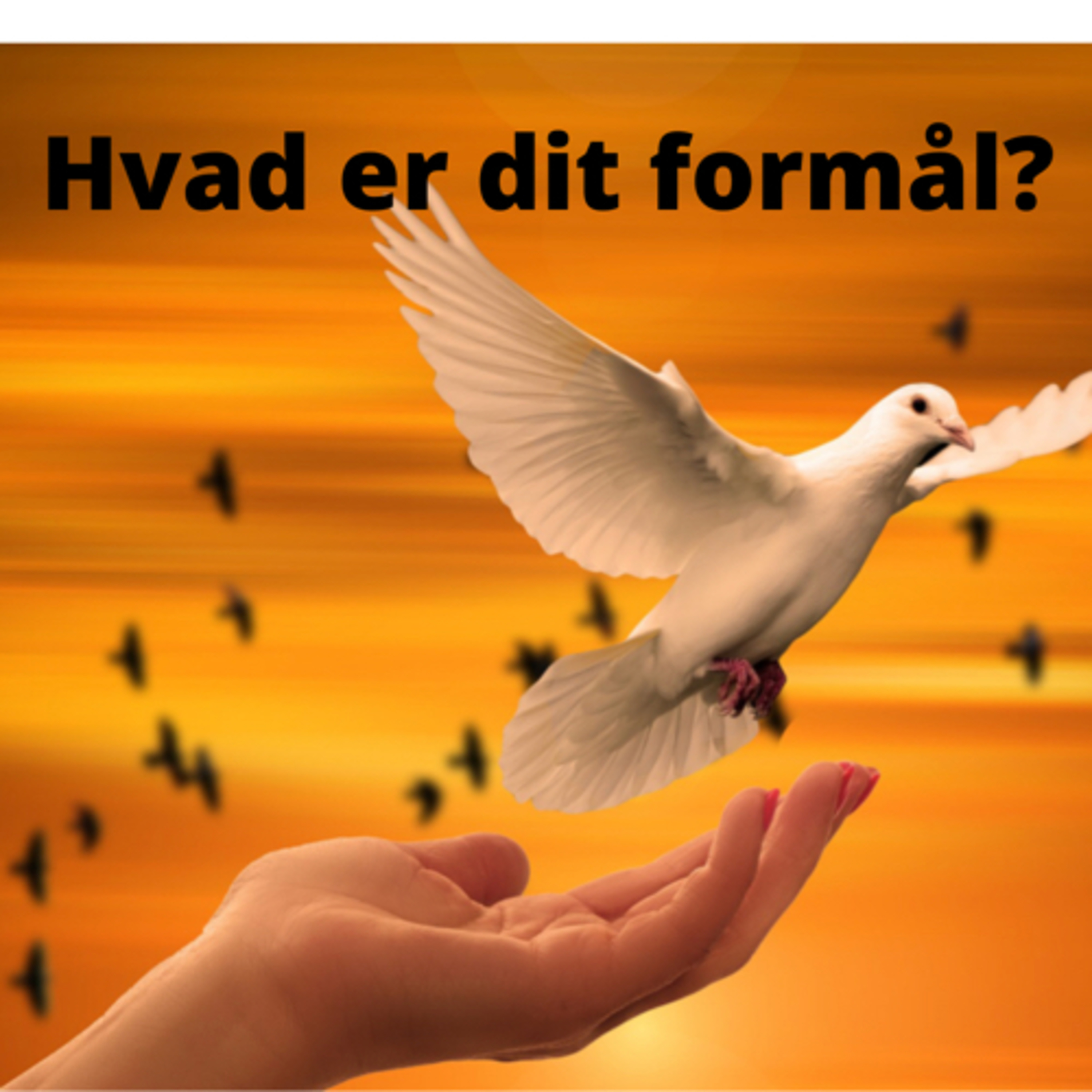 Soul Speak Meditationer - åben din sjæl og dit hjerte