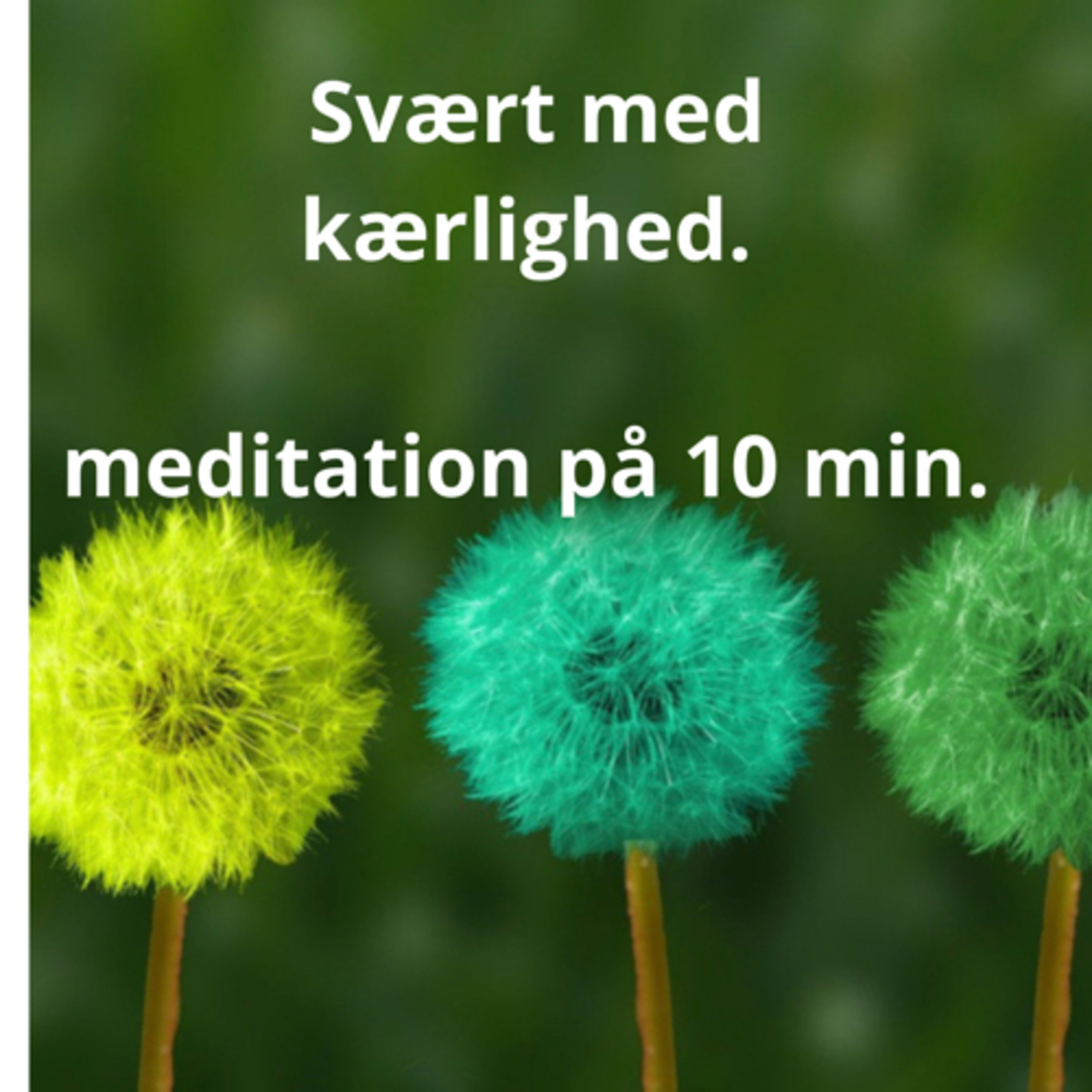 Soul Speak Meditationer - åben din sjæl og dit hjerte