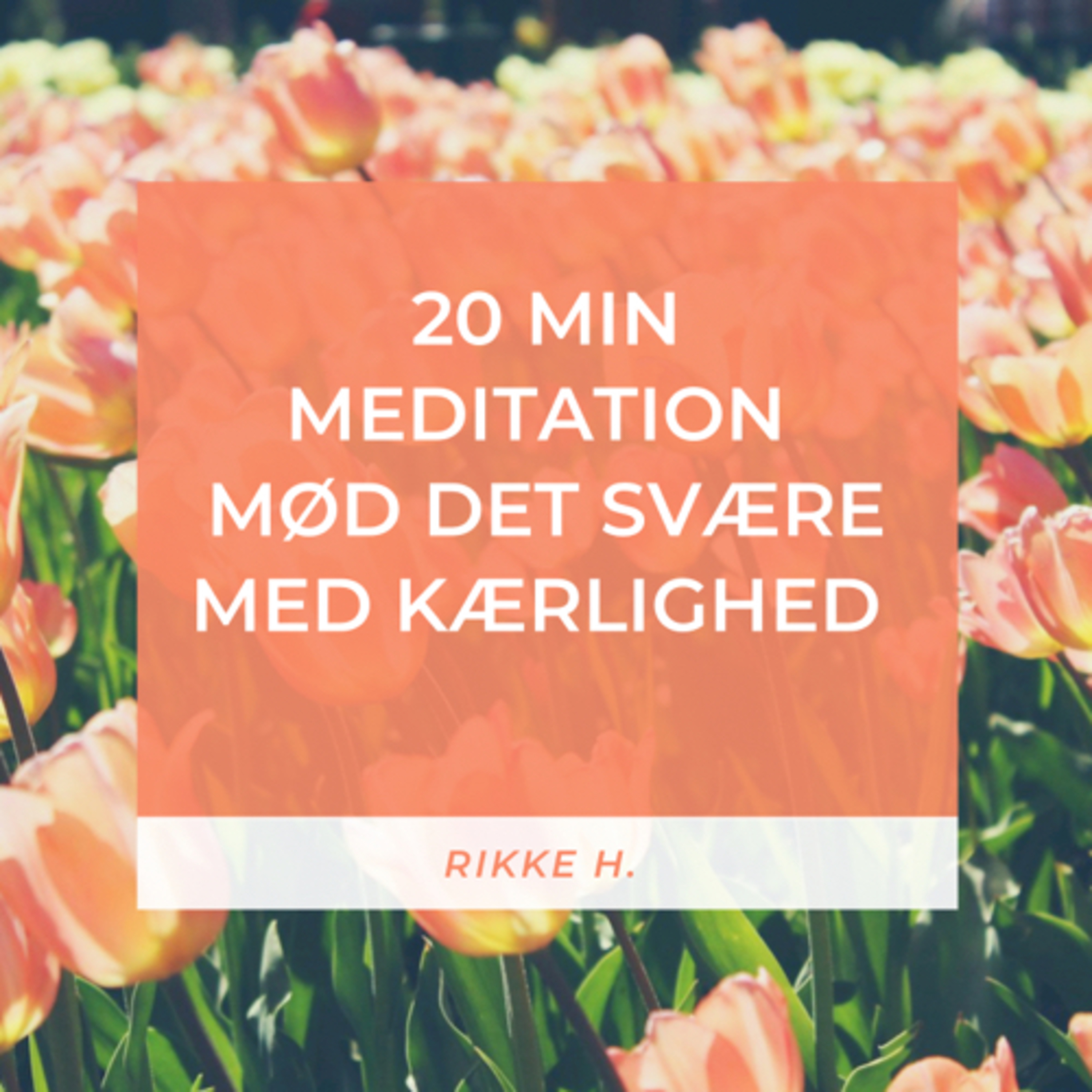 Soul Speak Meditationer - åben din sjæl og dit hjerte