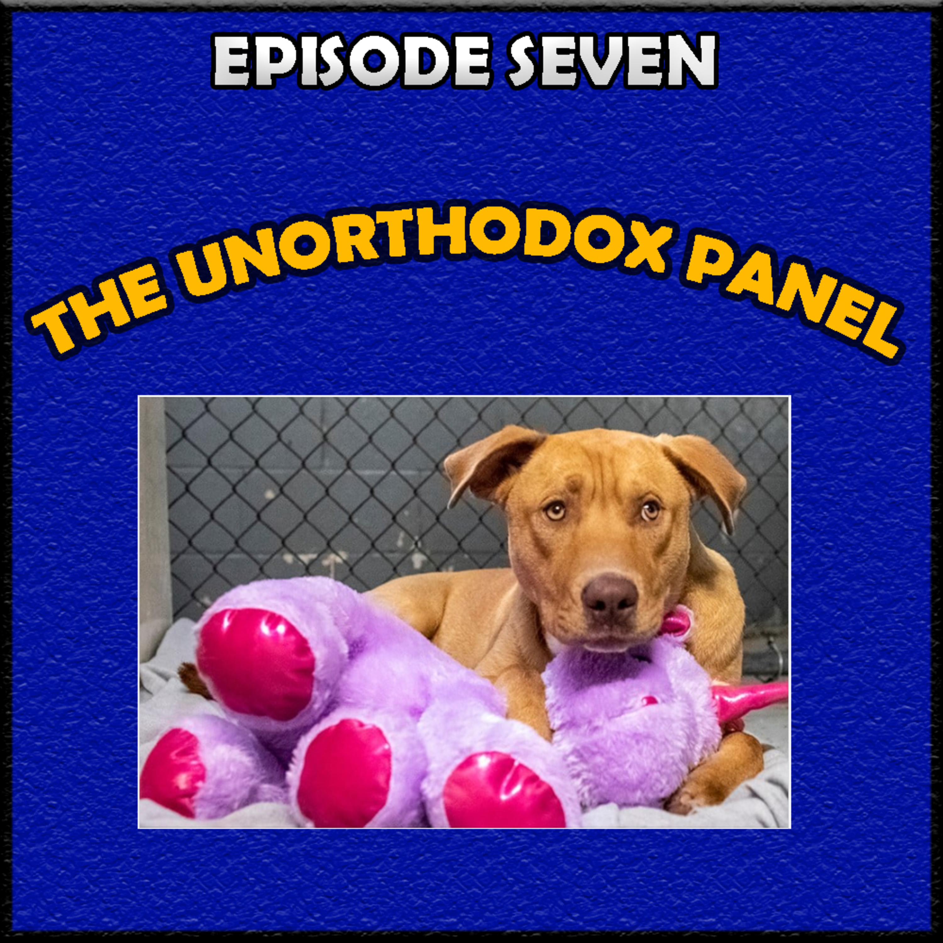 THE UNORTHODOX PANEL