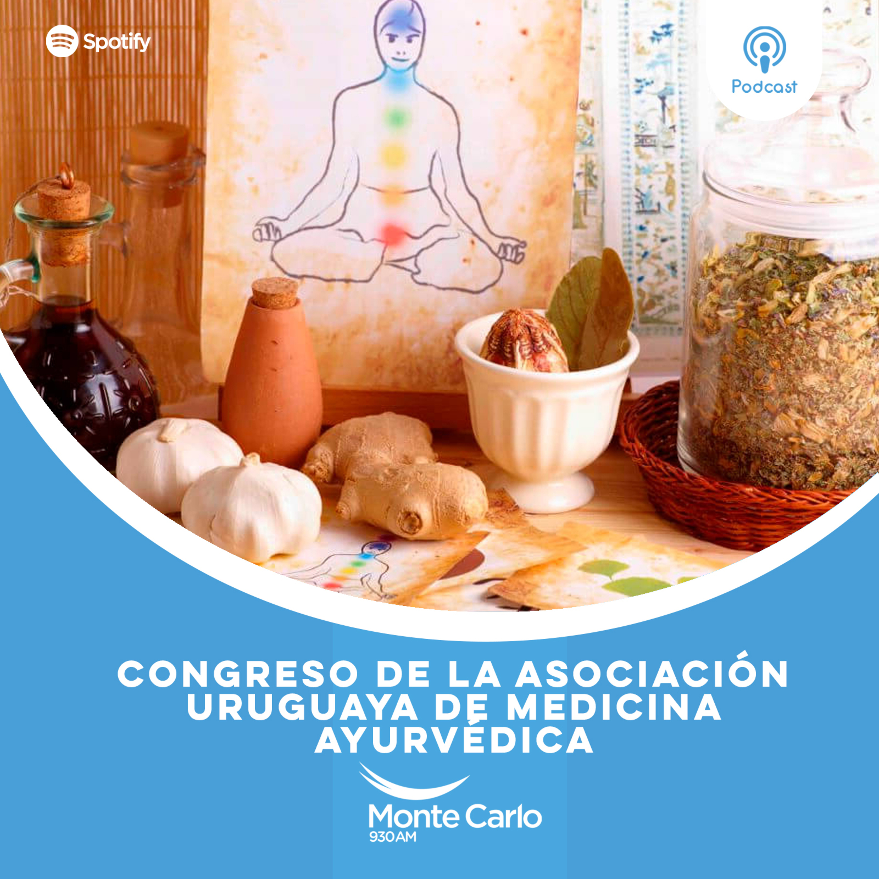 Medicina Ayurvédica episode artwork