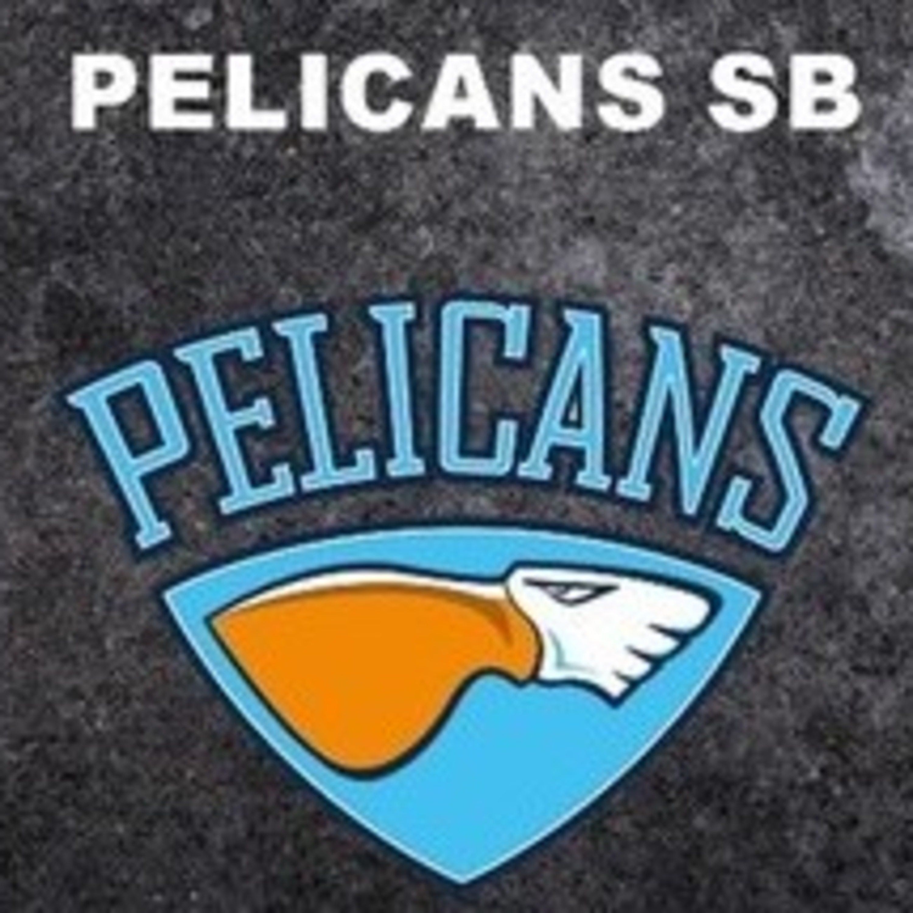 Pelicans SB episode artwork