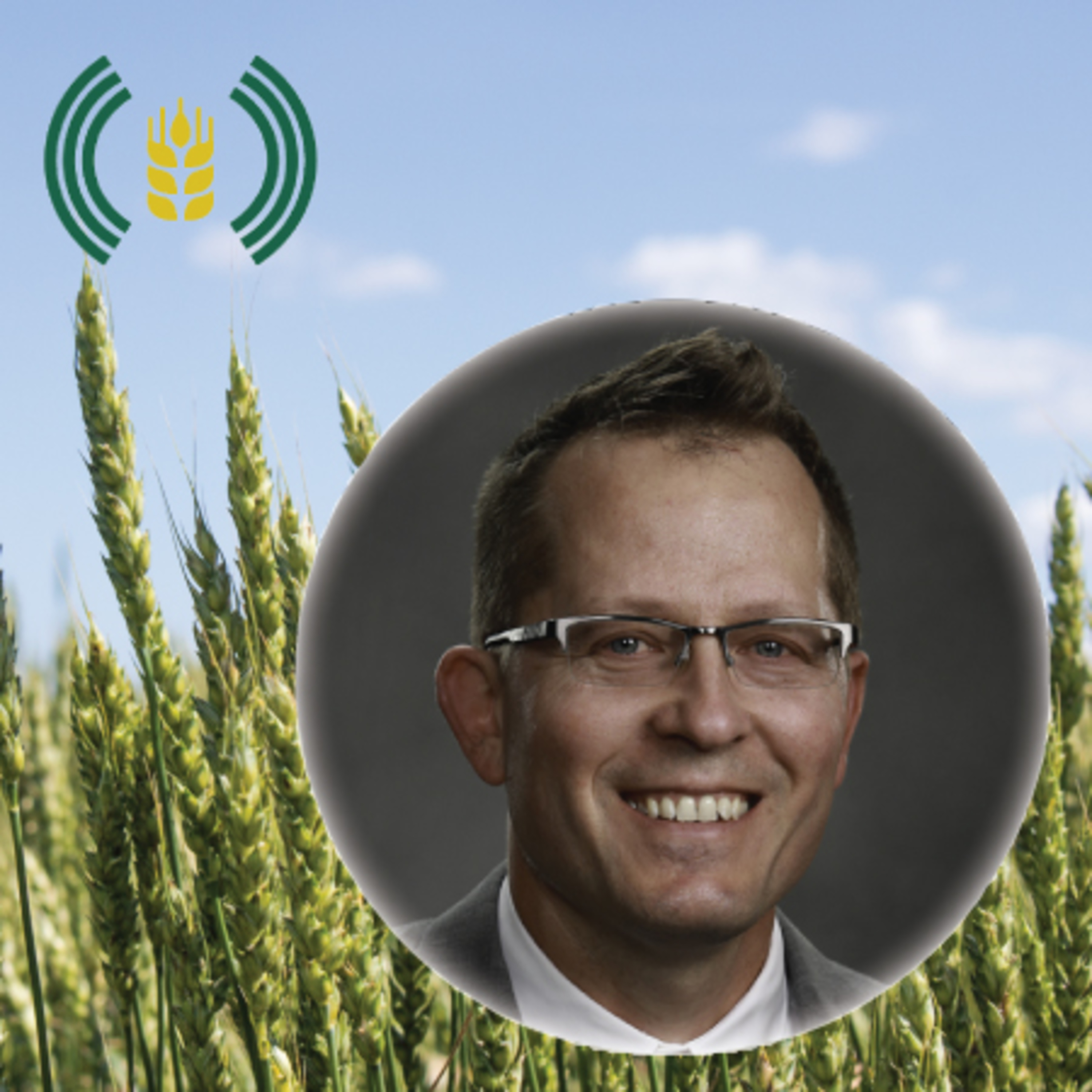 Wheat Profit