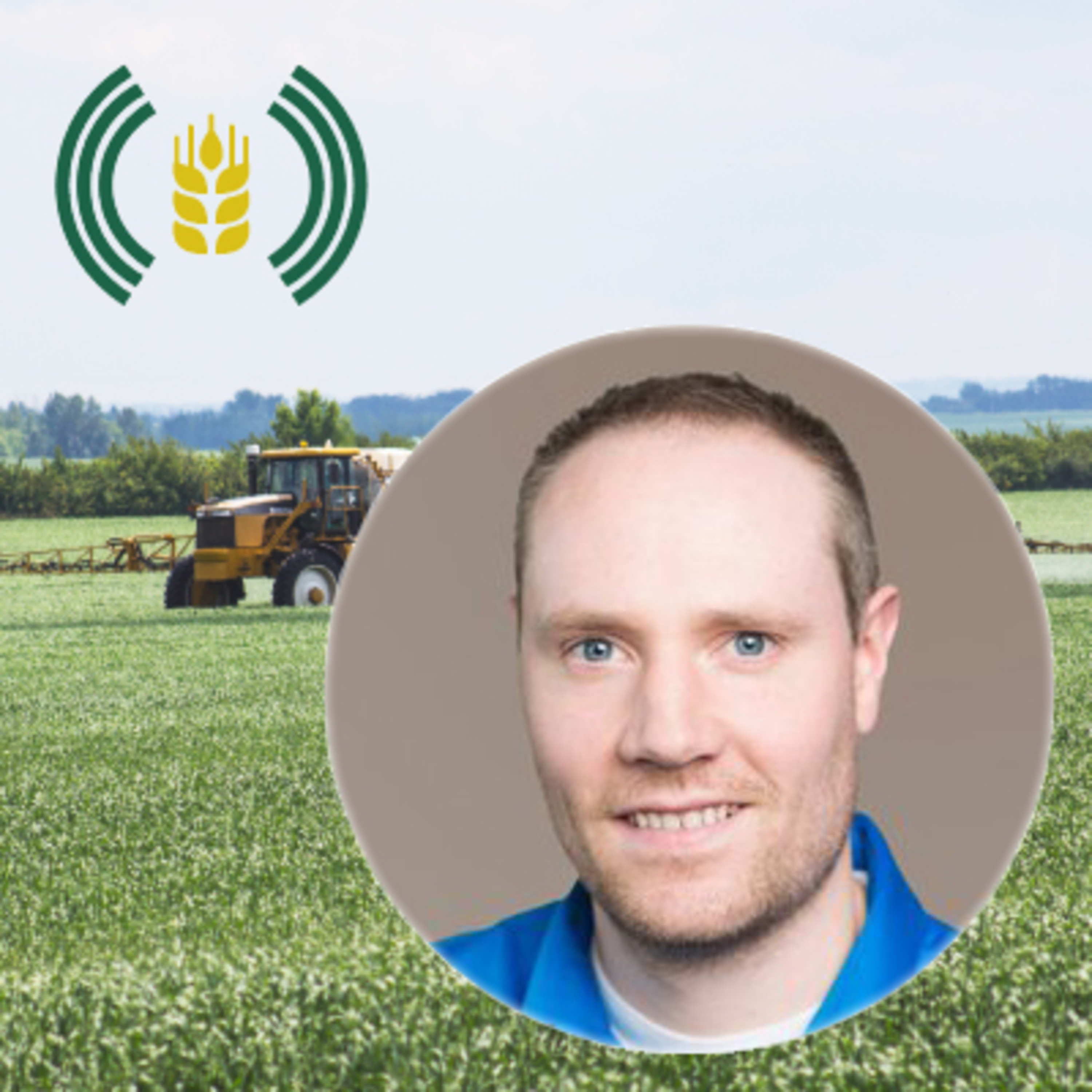Wheat Profit