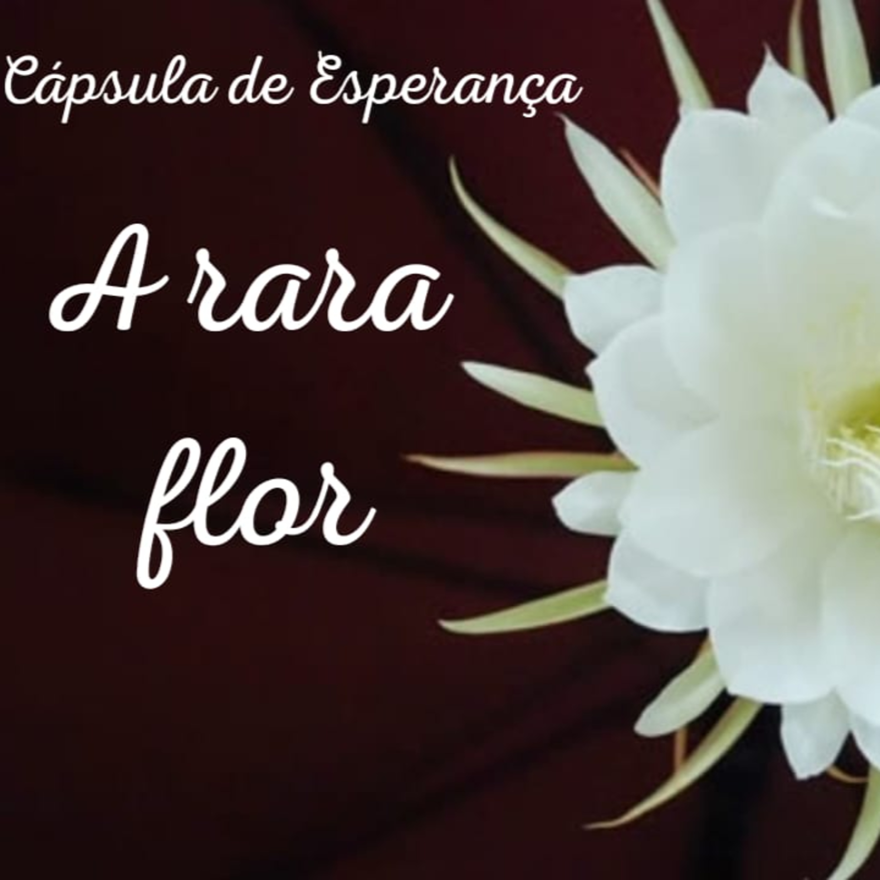 Cápsulas de Esperança