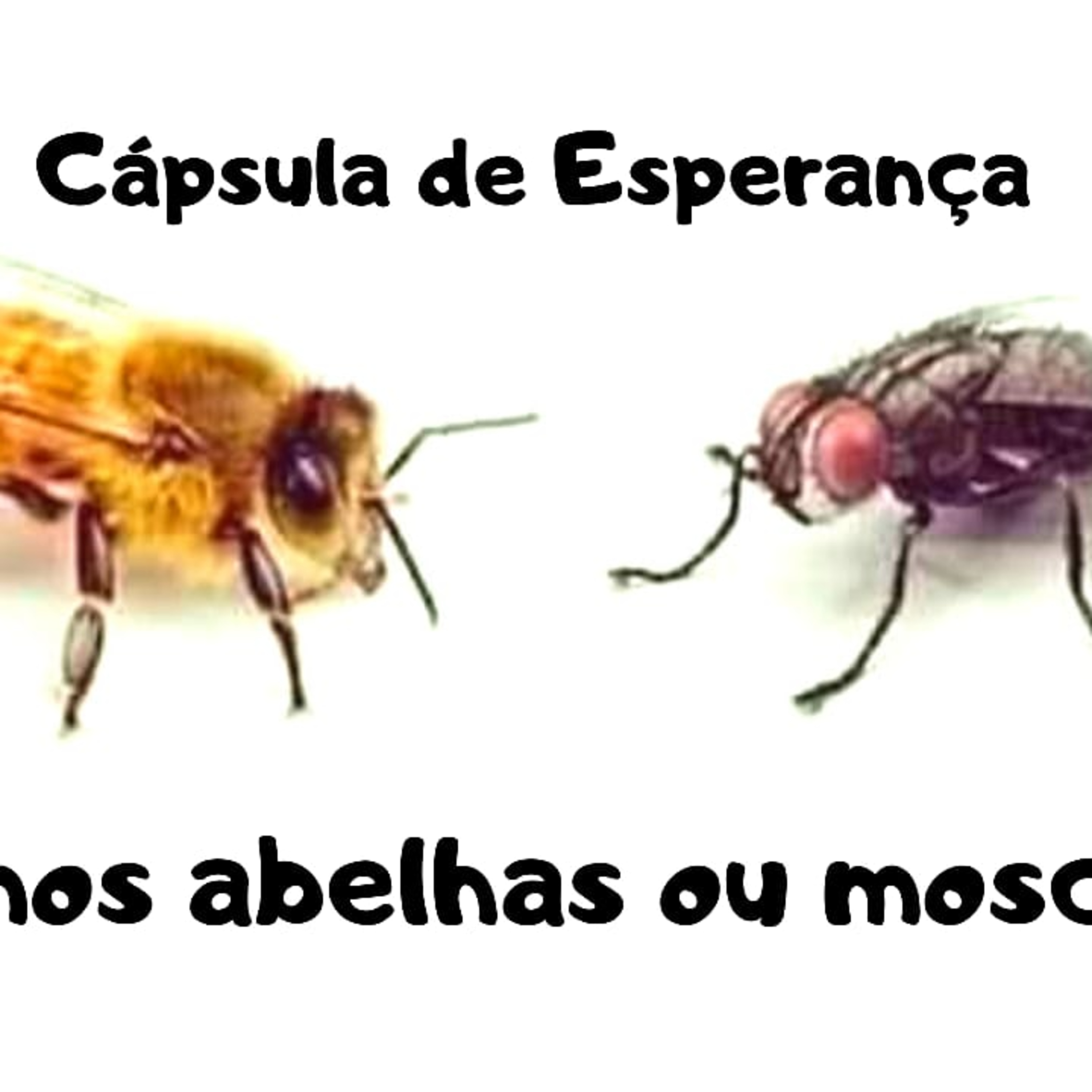 Cápsulas de Esperança