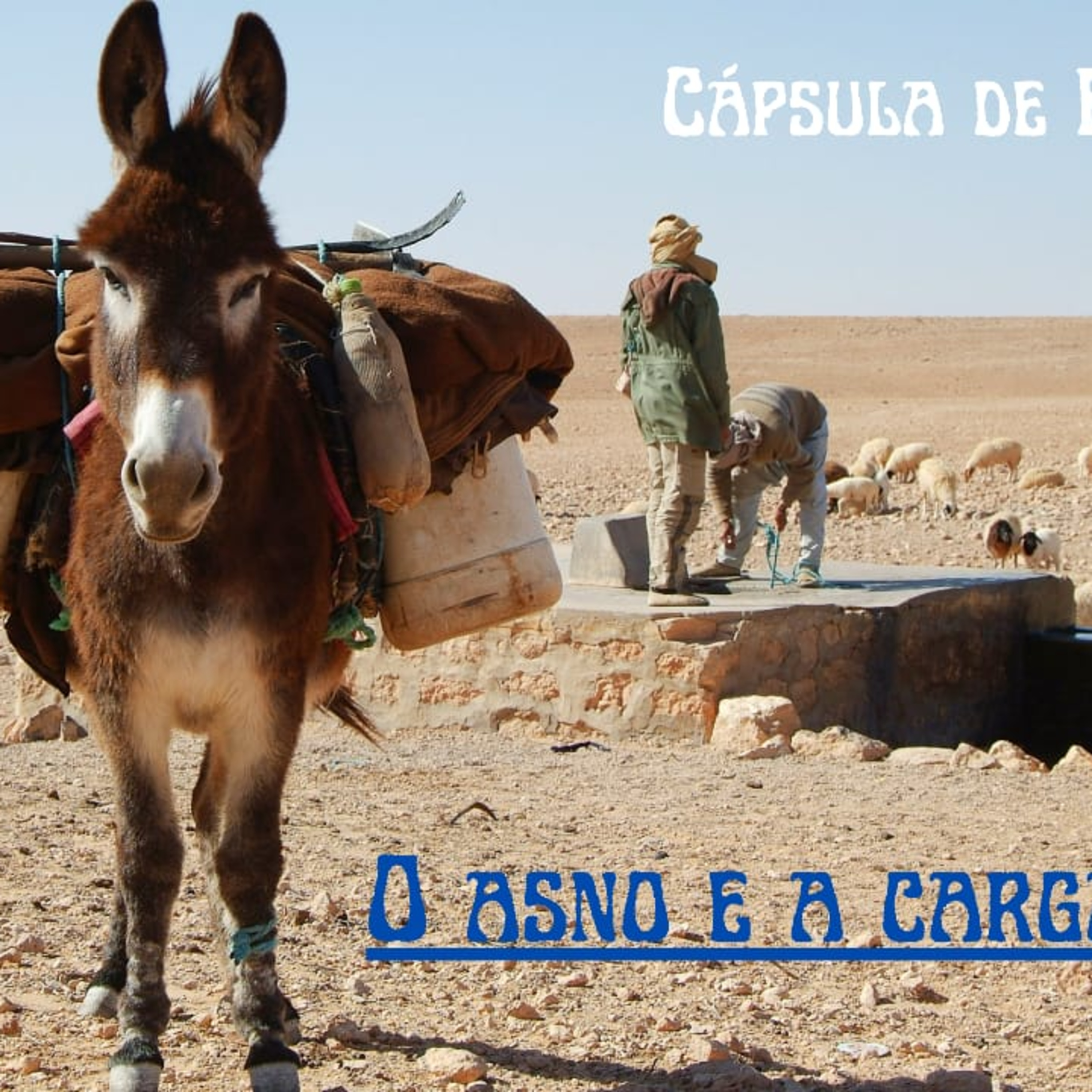 Cápsulas de Esperança