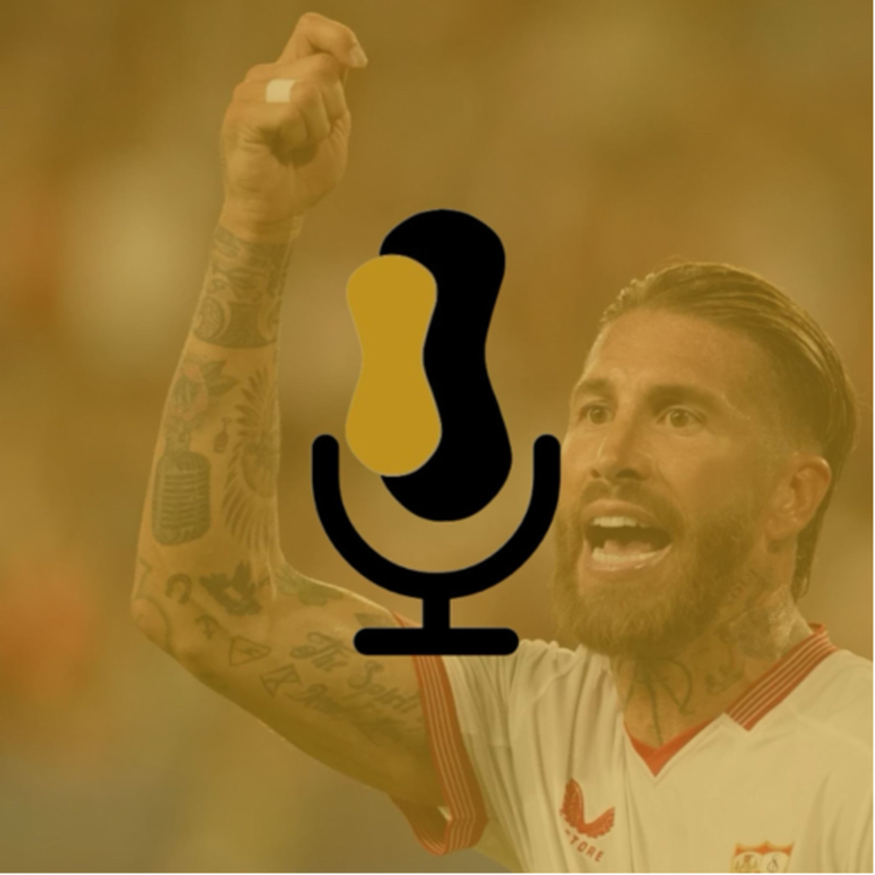 Teamgeist Podcast