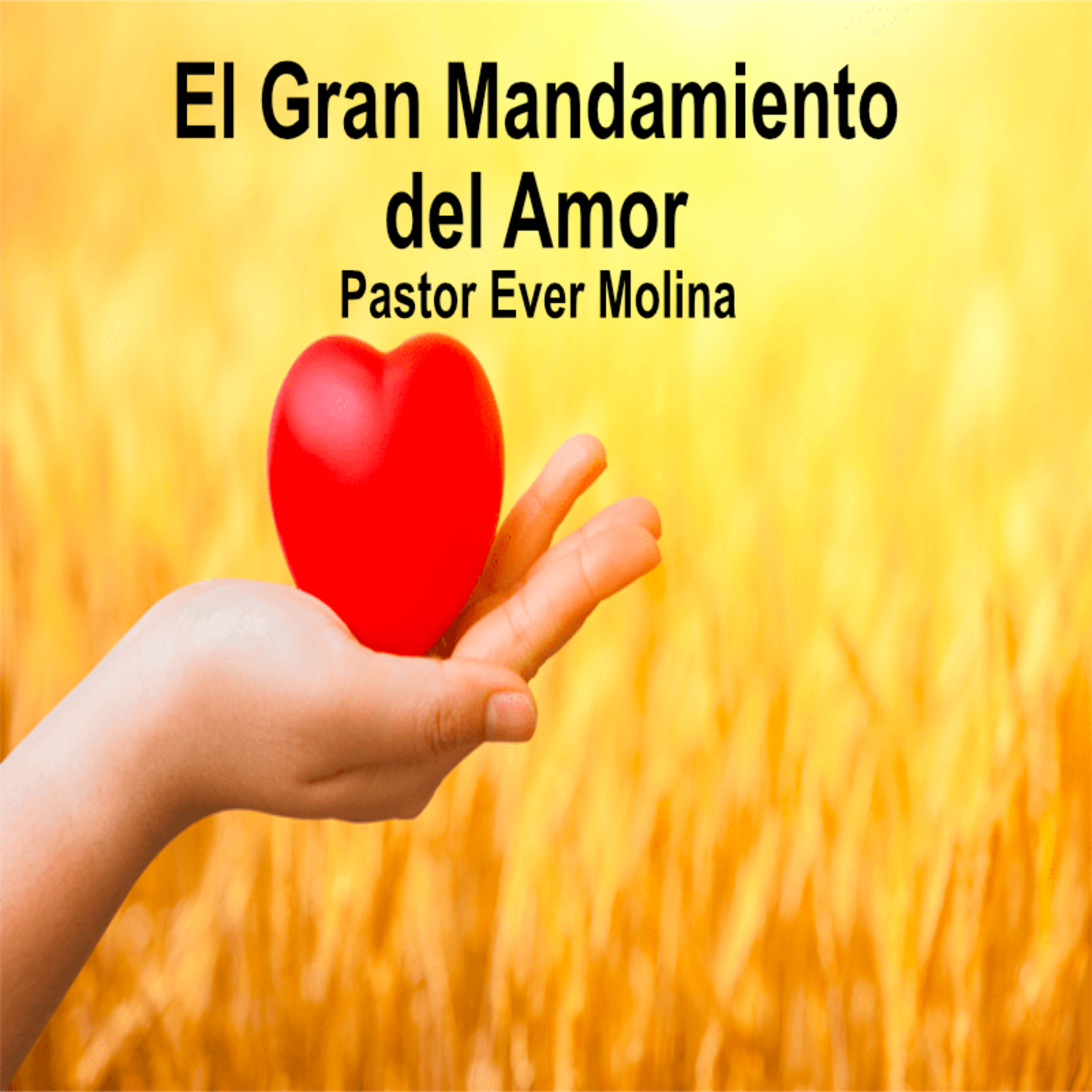 El gran mandamiento del Amor episode artwork