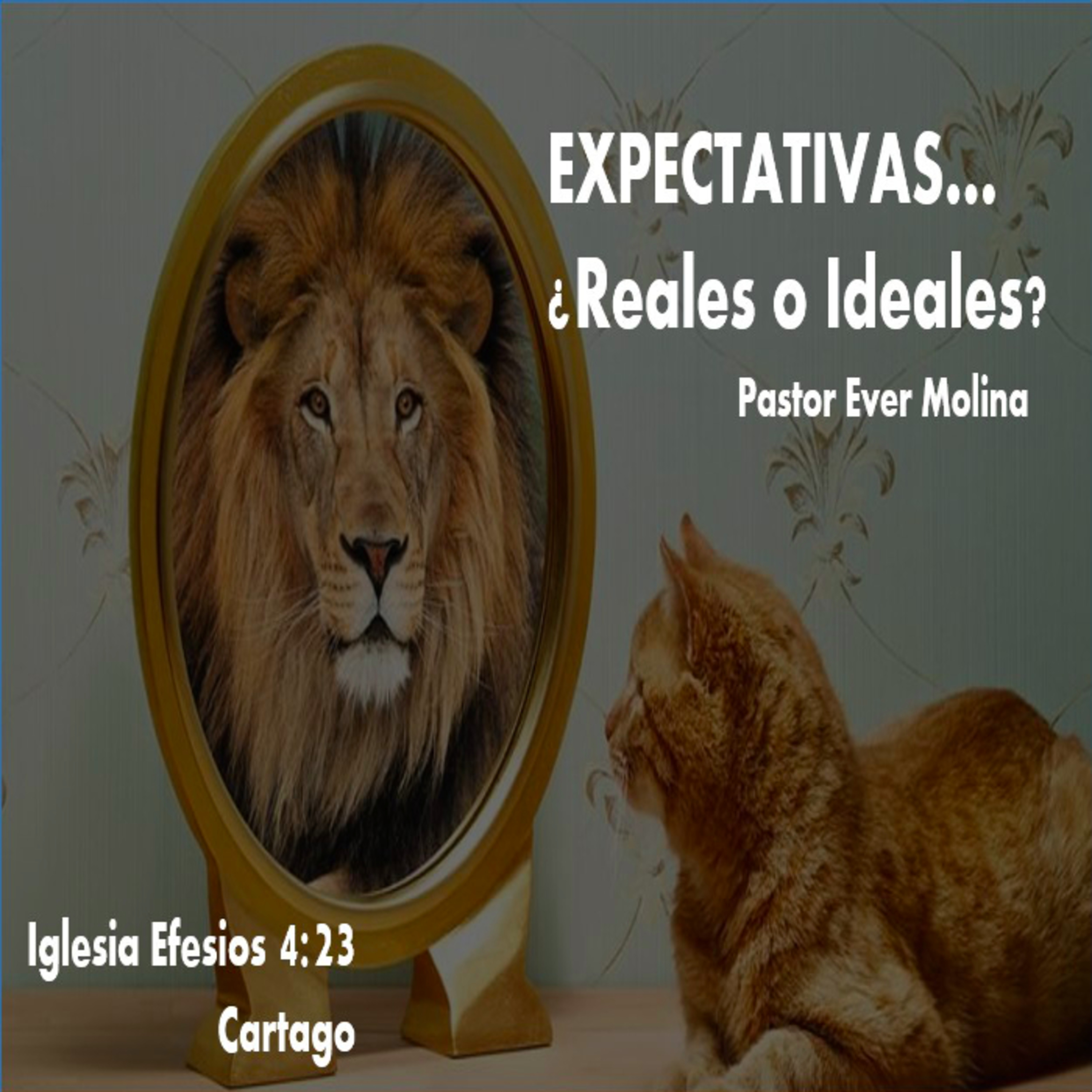 EXPECTATIVAS...¿Reales o Ideales? episode artwork