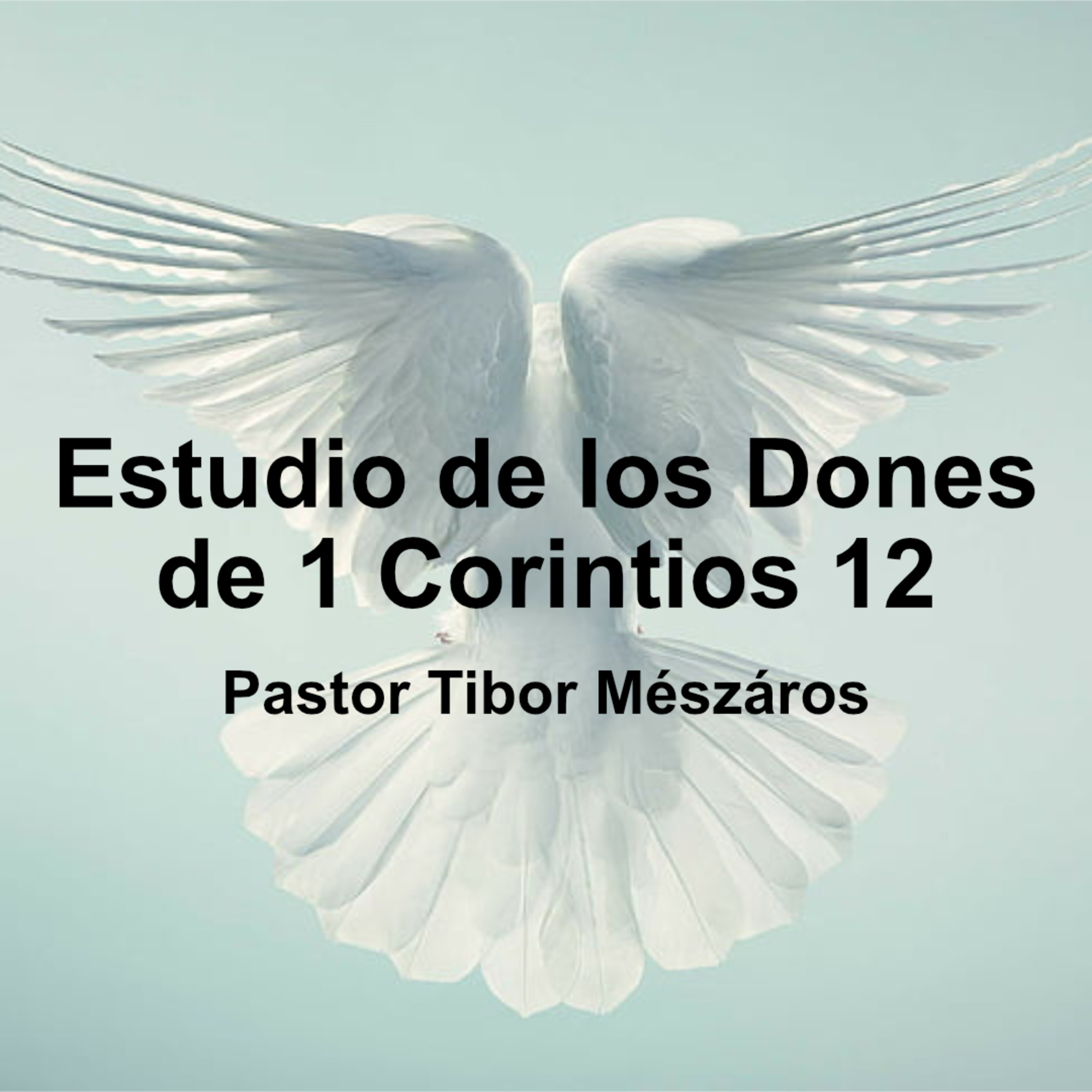 Estudio de los Dones de 1 Corintios 12 episode artwork