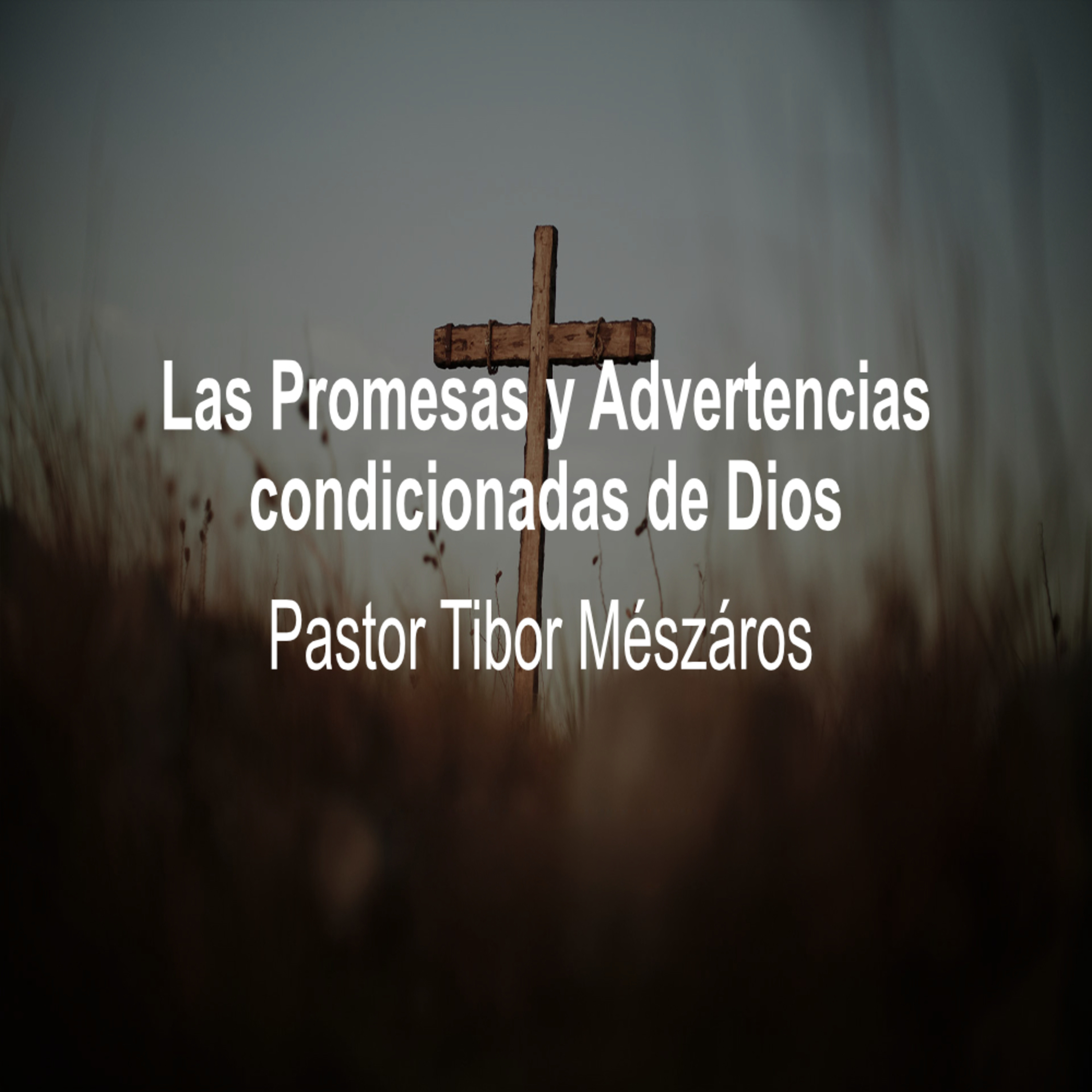 Las Promesas y Advertencias condicionadas de Dios episode artwork