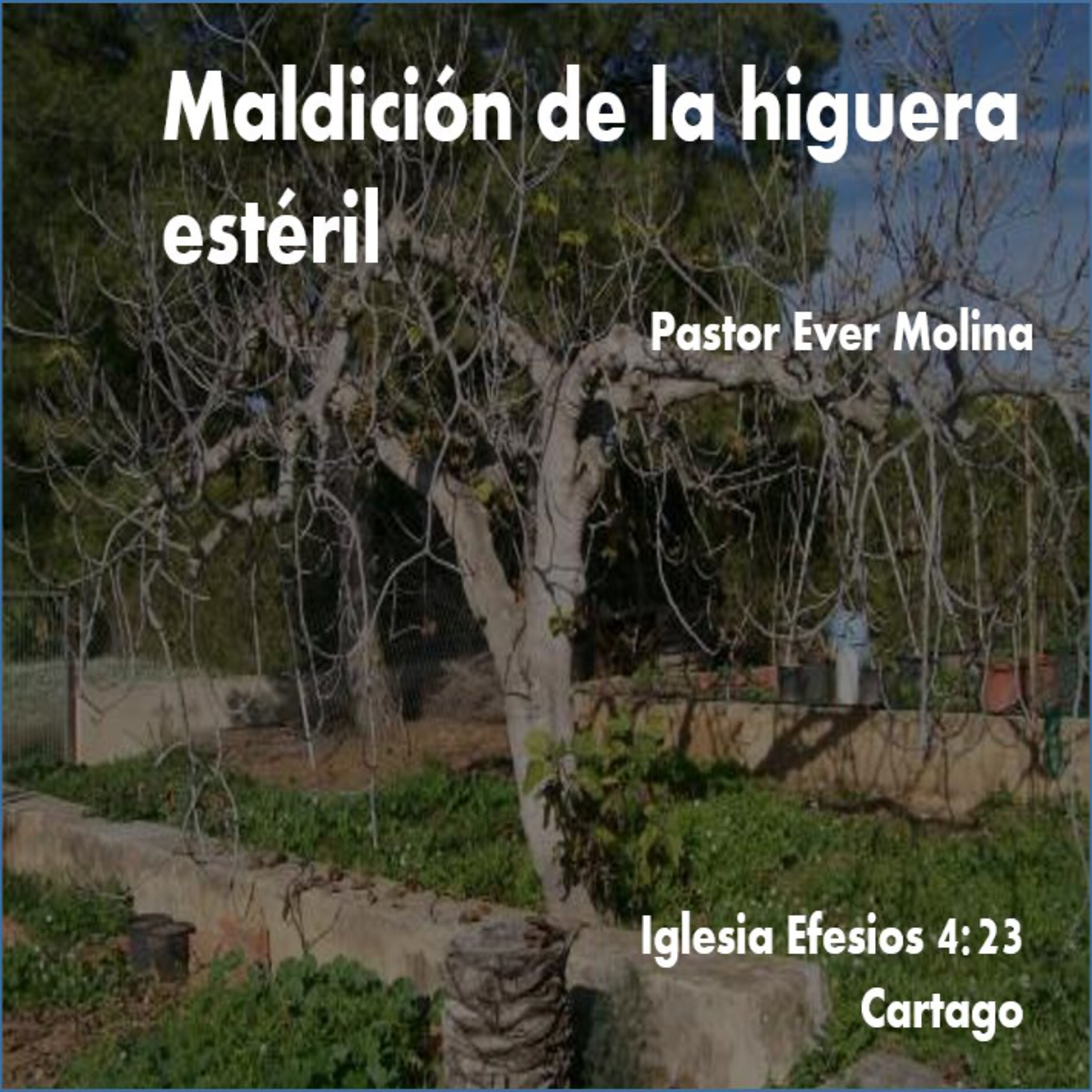 Maldición de la higuera estéril episode artwork