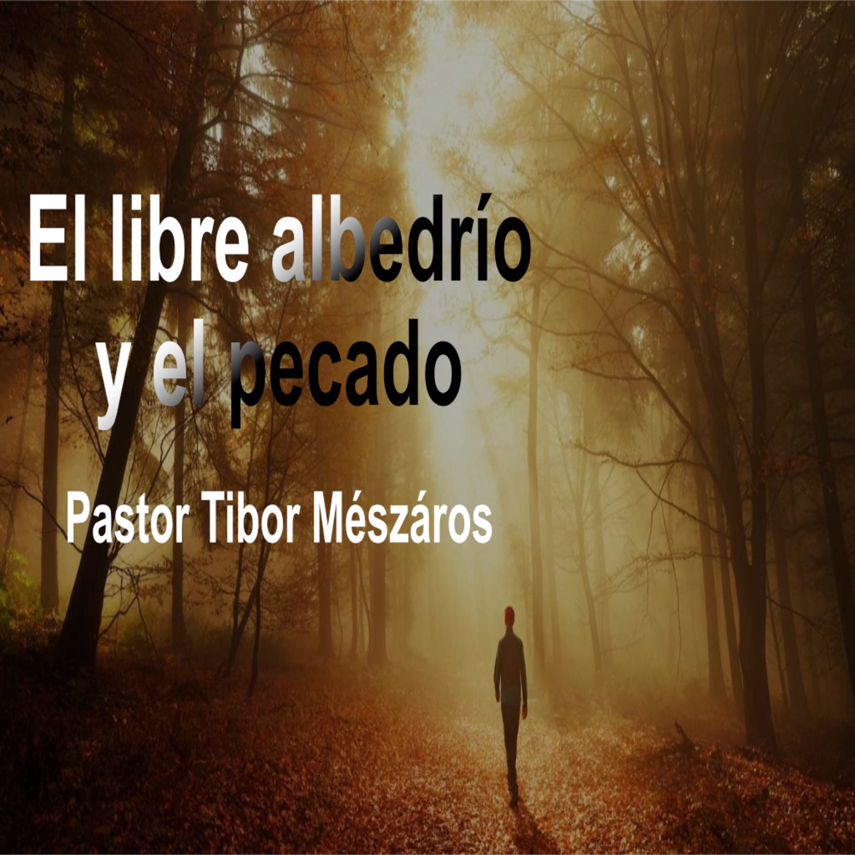 El libre albedrío y el pecado episode artwork