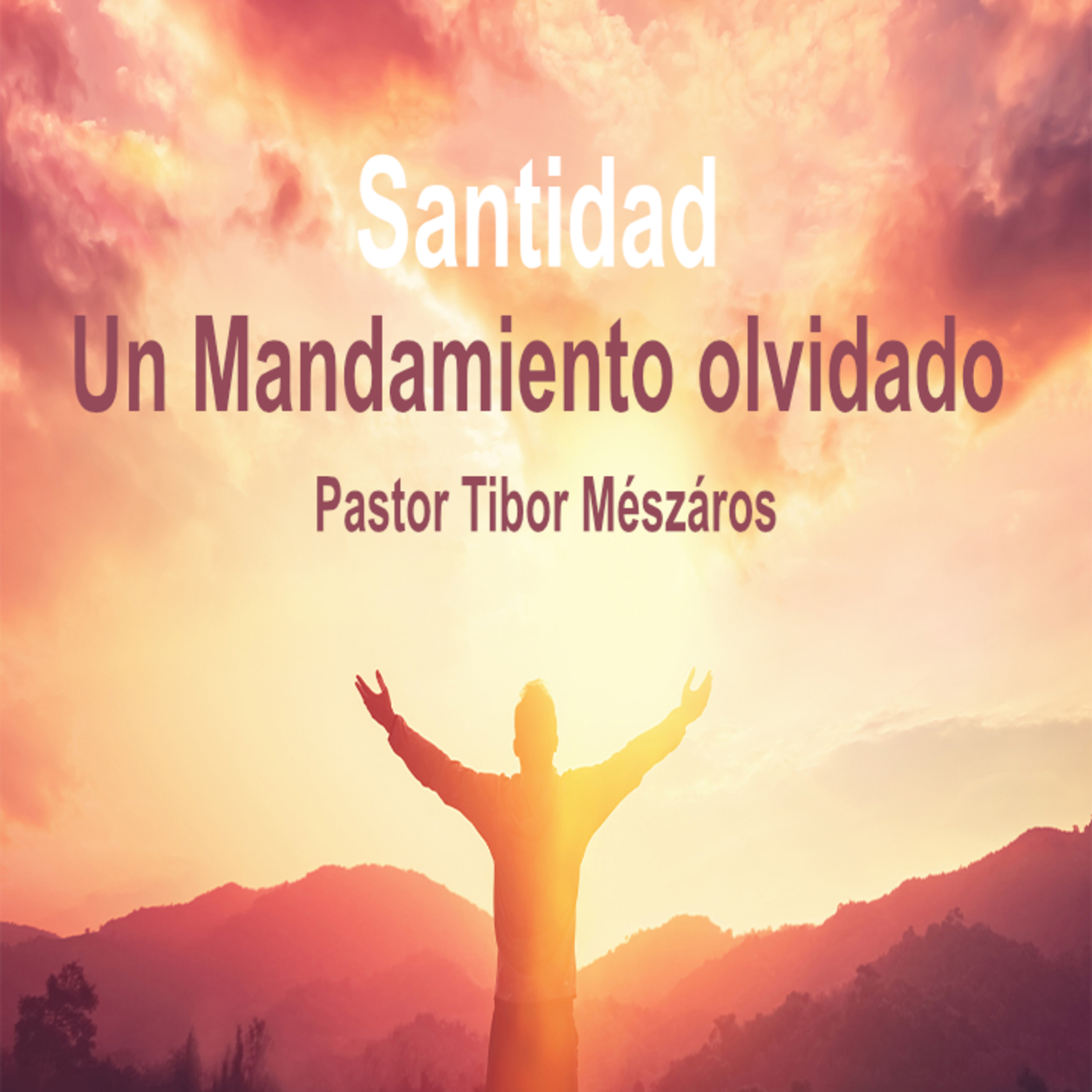 Santidad. Un Mandamiento olvidado episode artwork