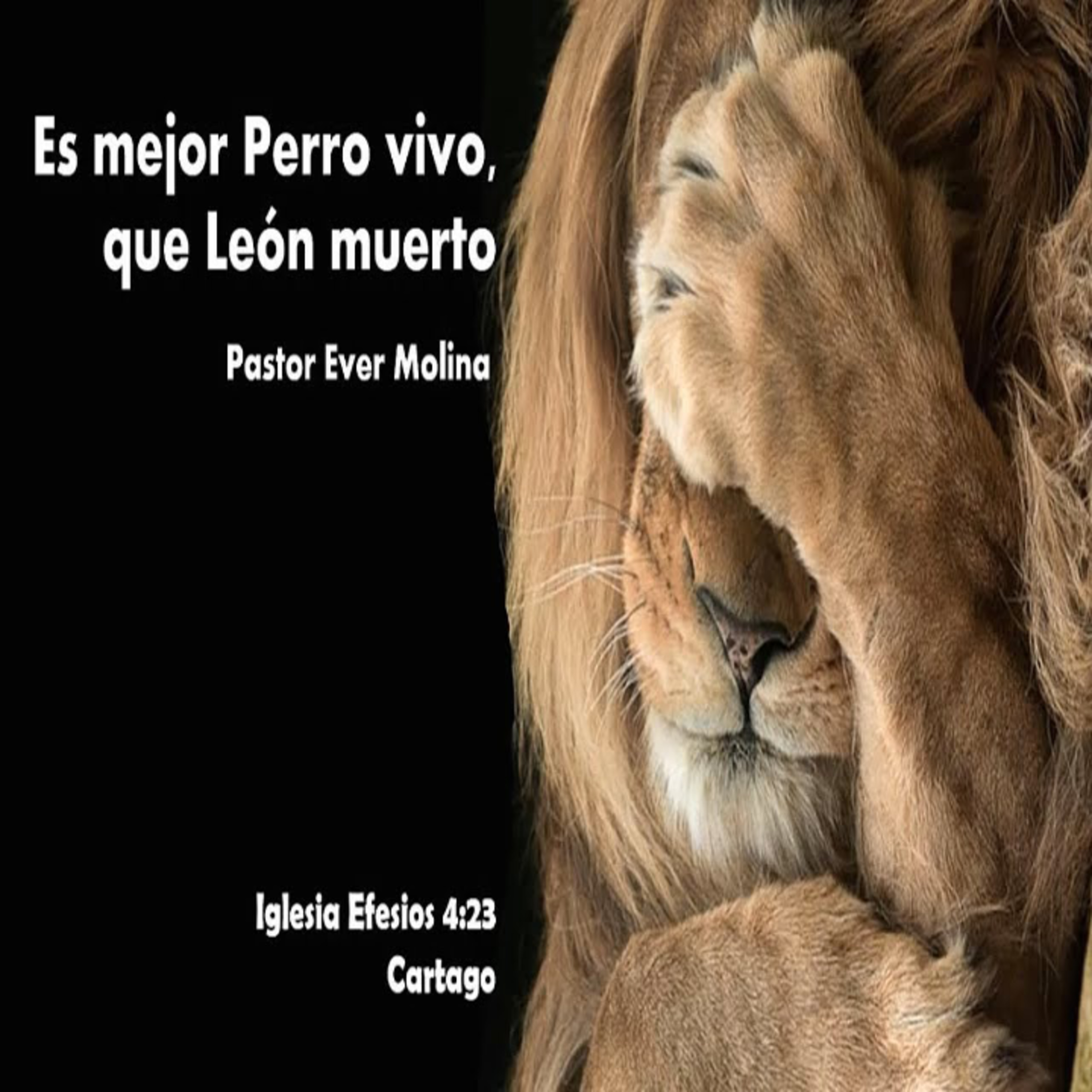 Iglesia Efesios 4:23